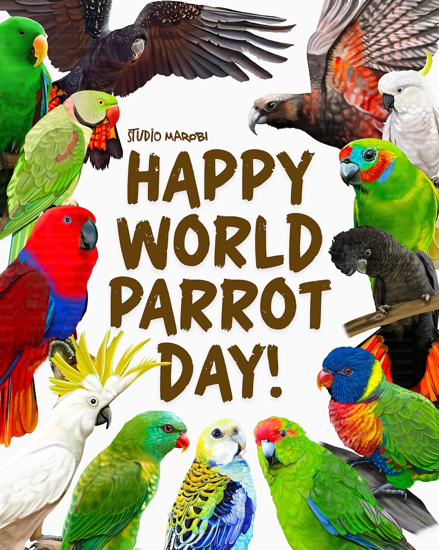 Happy World Parrot Day! 

Today we celebrate the colourful, clever, and charismatic parrots of the world &mdash; from the tiny budgerigar to the mighty macaw! These birds aren&rsquo;t just pretty faces &mdash; they&rsquo;re problem-solvers, mimics, a