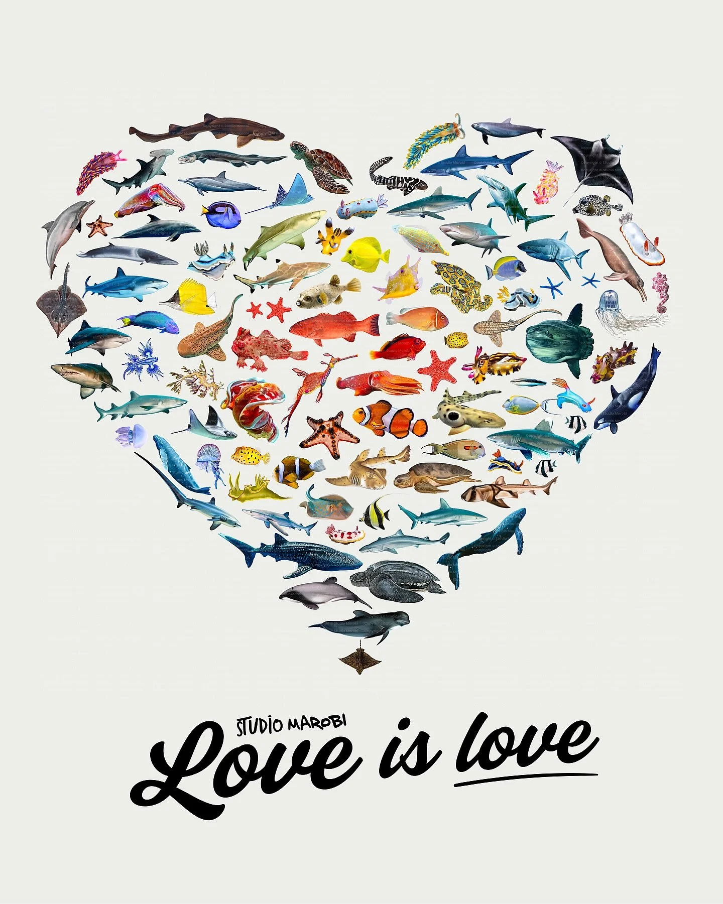 June is a celebration of many beautiful things &mdash; including Pride Month and World Oceans Month!

At Studio Marobi, we believe in protecting the vibrant diversity of both our natural world and the communities that bring so much colour to it. Just