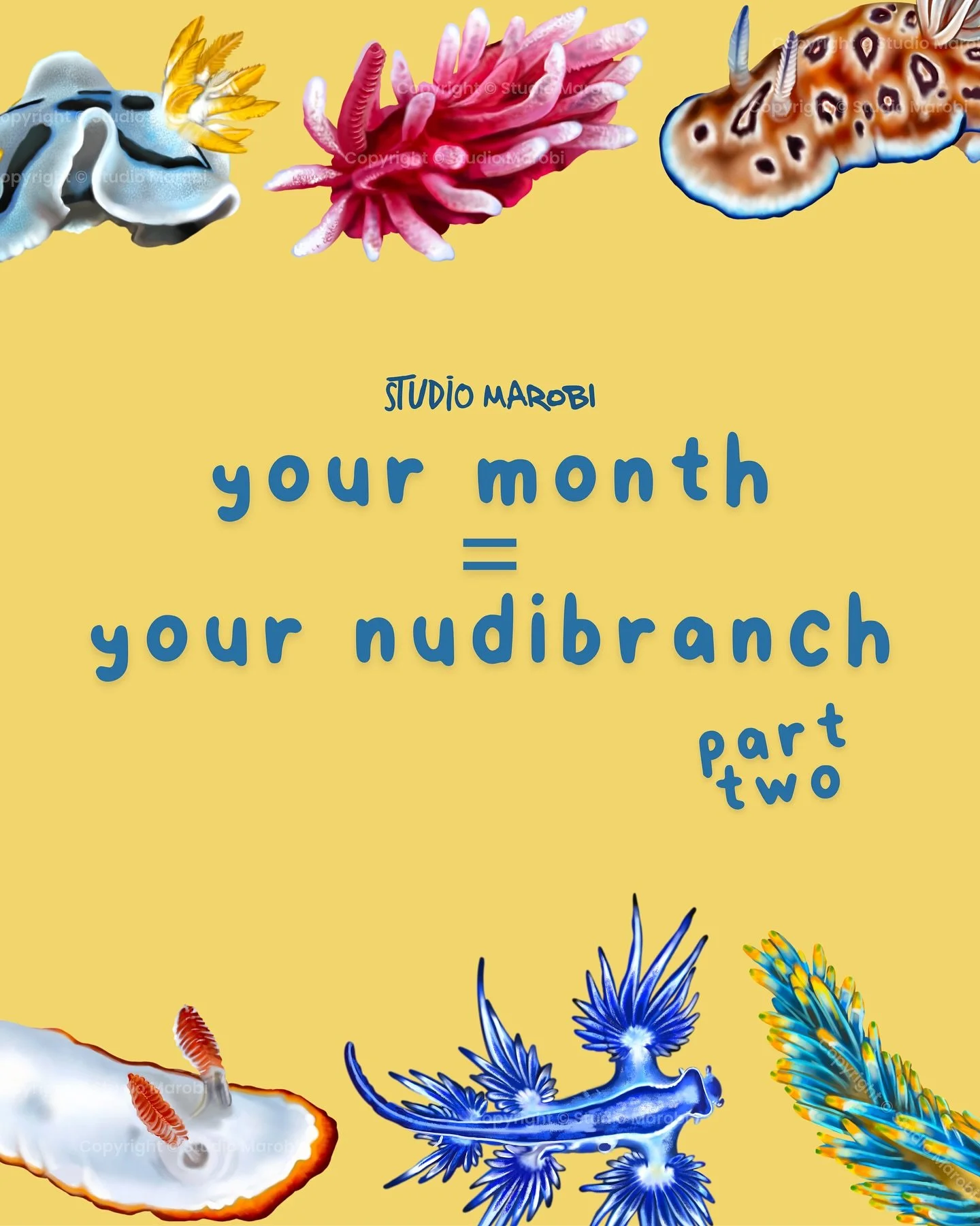 PART 2 IS HERE! I know you&rsquo;ve all been waiting for it! ❤️

What nudibranch did you get? Comment it below!