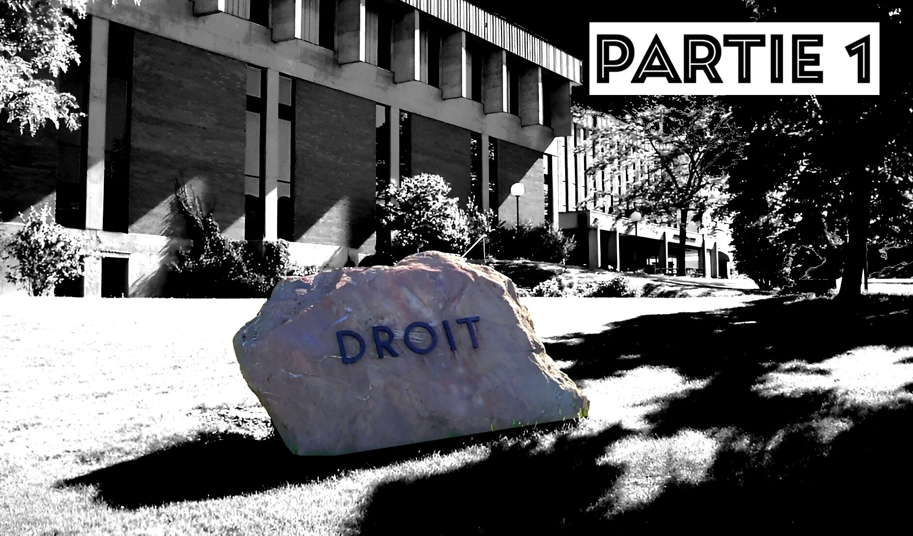 Stratagèmes frauduleux des dirigeants de la Faculté de droit de l’Université de Sherbrooke dans l’octroi des contrats d’enseignement aux chargés de cours