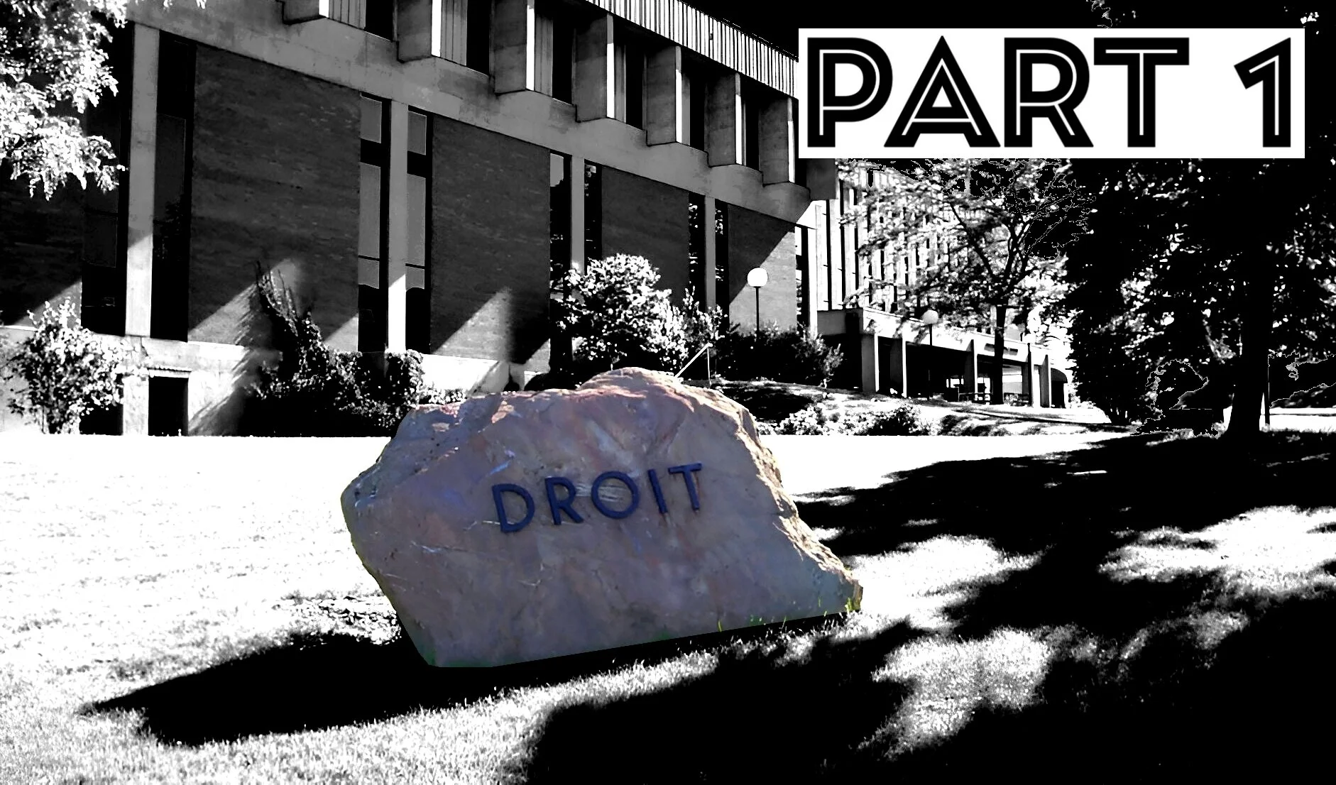 Fraudulent schemes by the managers of the Faculty of Law of the University of Sherbrooke in the granting of teaching contracts to lecturers