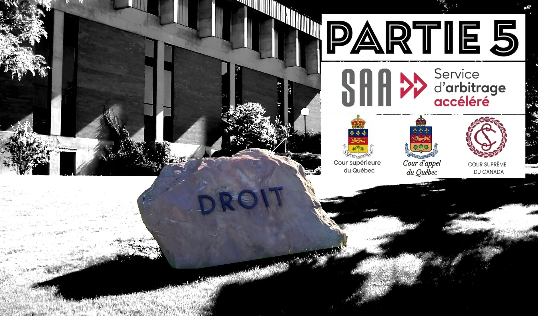 DOSSIER 1 - La reconnaissance de qualification (2022) : Que se passe-t-il lorsque ceux qui doivent rendre justice sont les amis de ceux qu’on poursuit? Un exemple d’injustice judiciaire (Pt.5)