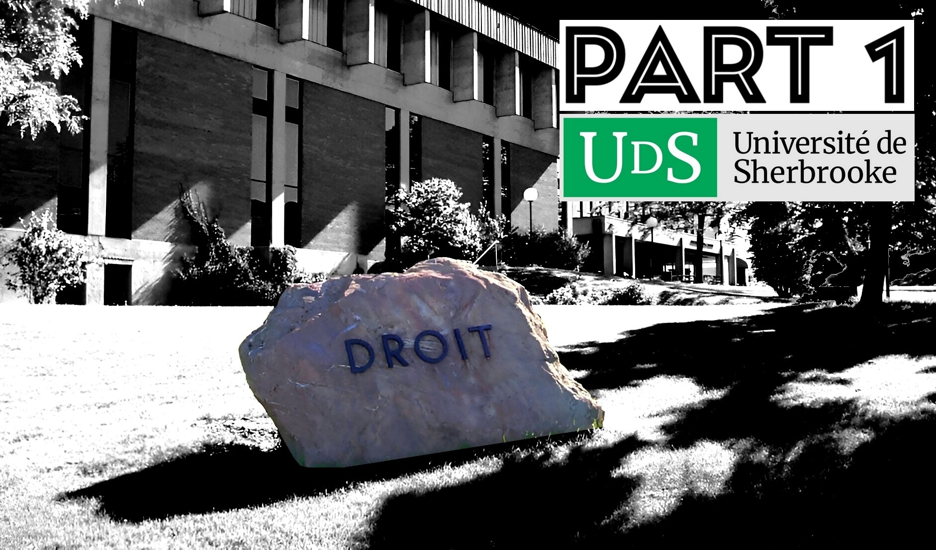 Fraudulent schemes used by the managers of the Faculty of Law of the University of Sherbrooke in the granting of teaching contracts to lecturers (Pt.1)