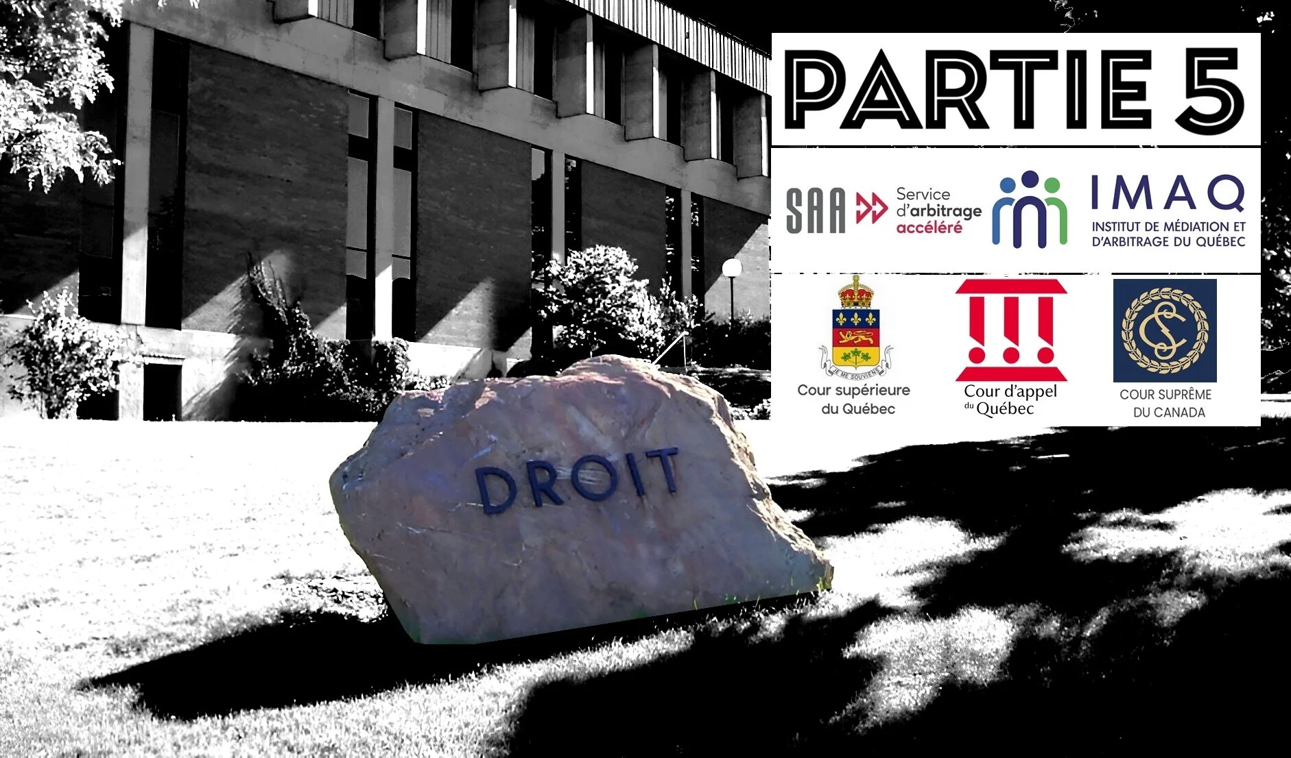 DOSSIER 1 - La reconnaissance de qualification (2022) : Que se passe-t-il lorsque ceux qui doivent rendre justice sont les amis de ceux qu’on poursuit? Un exemple d’injustice judiciaire (Pt.5)