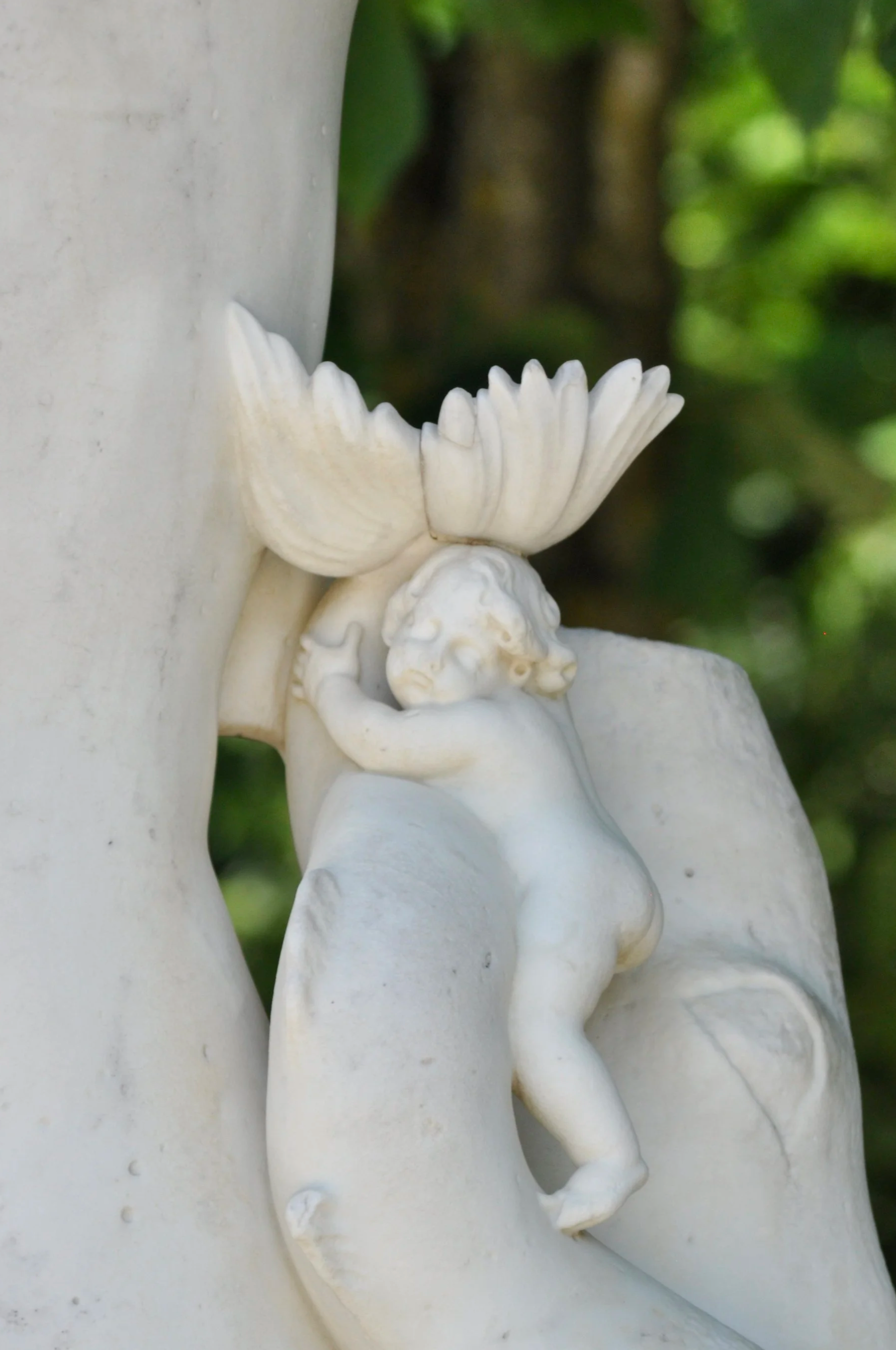 DSC_0347.png