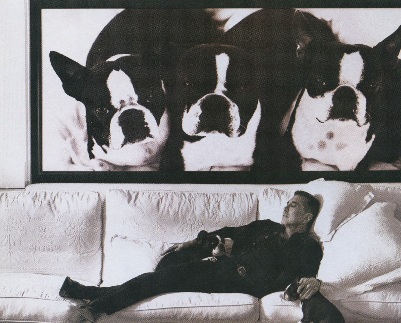 A man lying on a sofa with a Boston Terrier dog, with a large painting of multiple Boston Terriers hanging on the wall behind them.