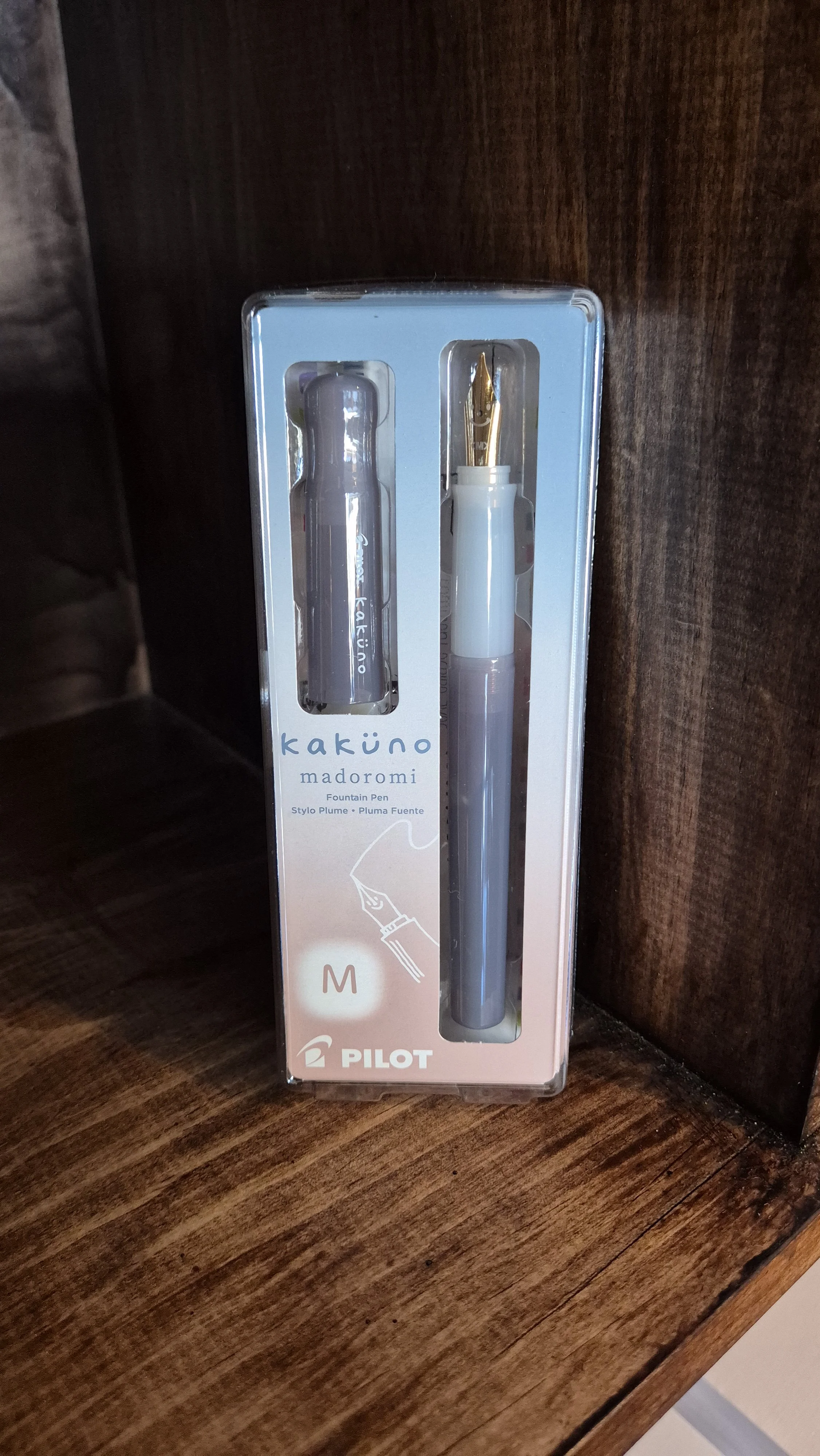 Pilot Kakuno Fountain Pen - Madoromi Series Medium