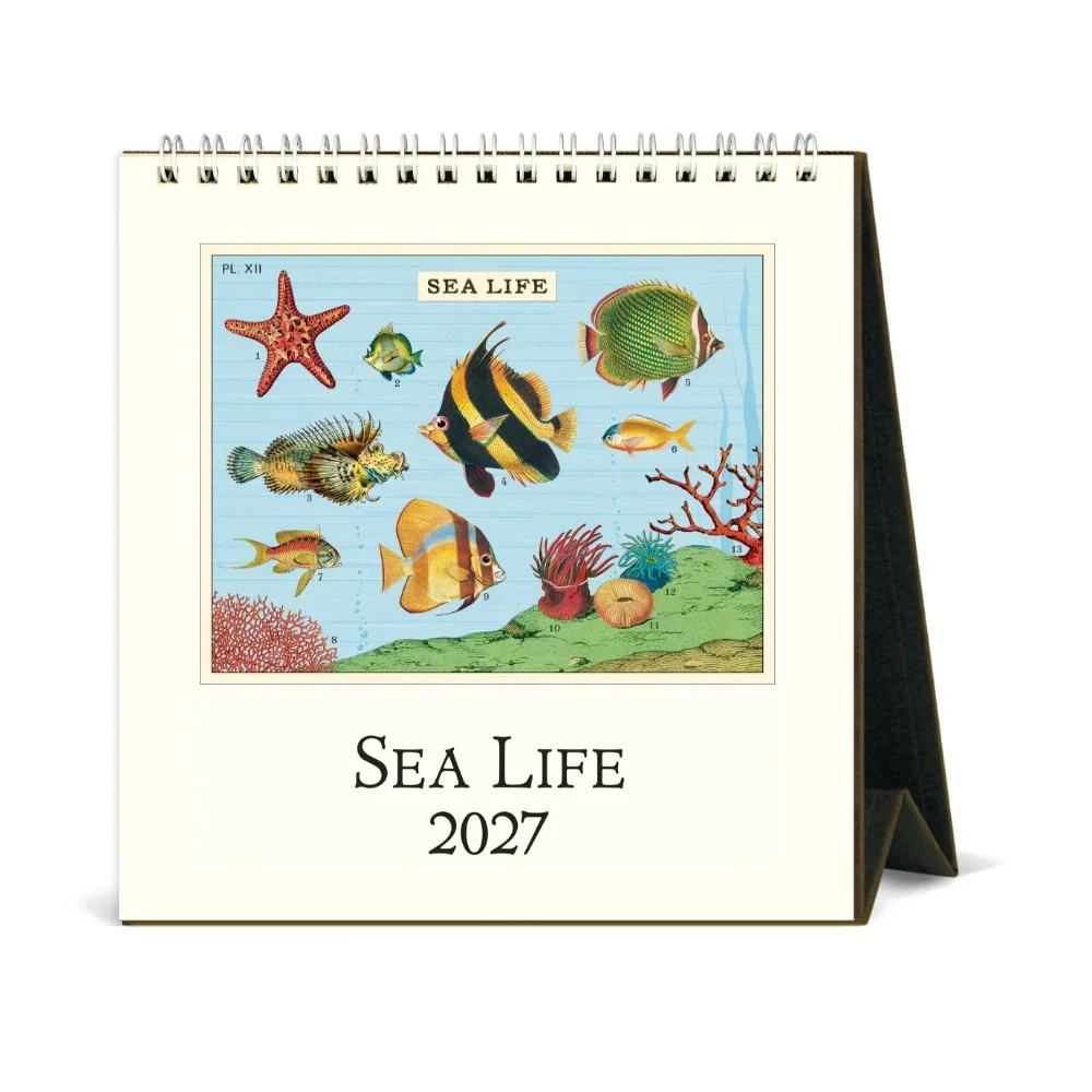 2027 Cavallini Desk Calendar - Sea Life