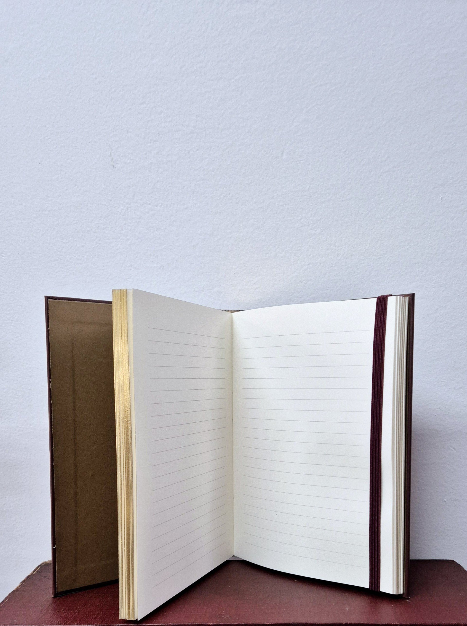 The Philophers Journal two.jpg