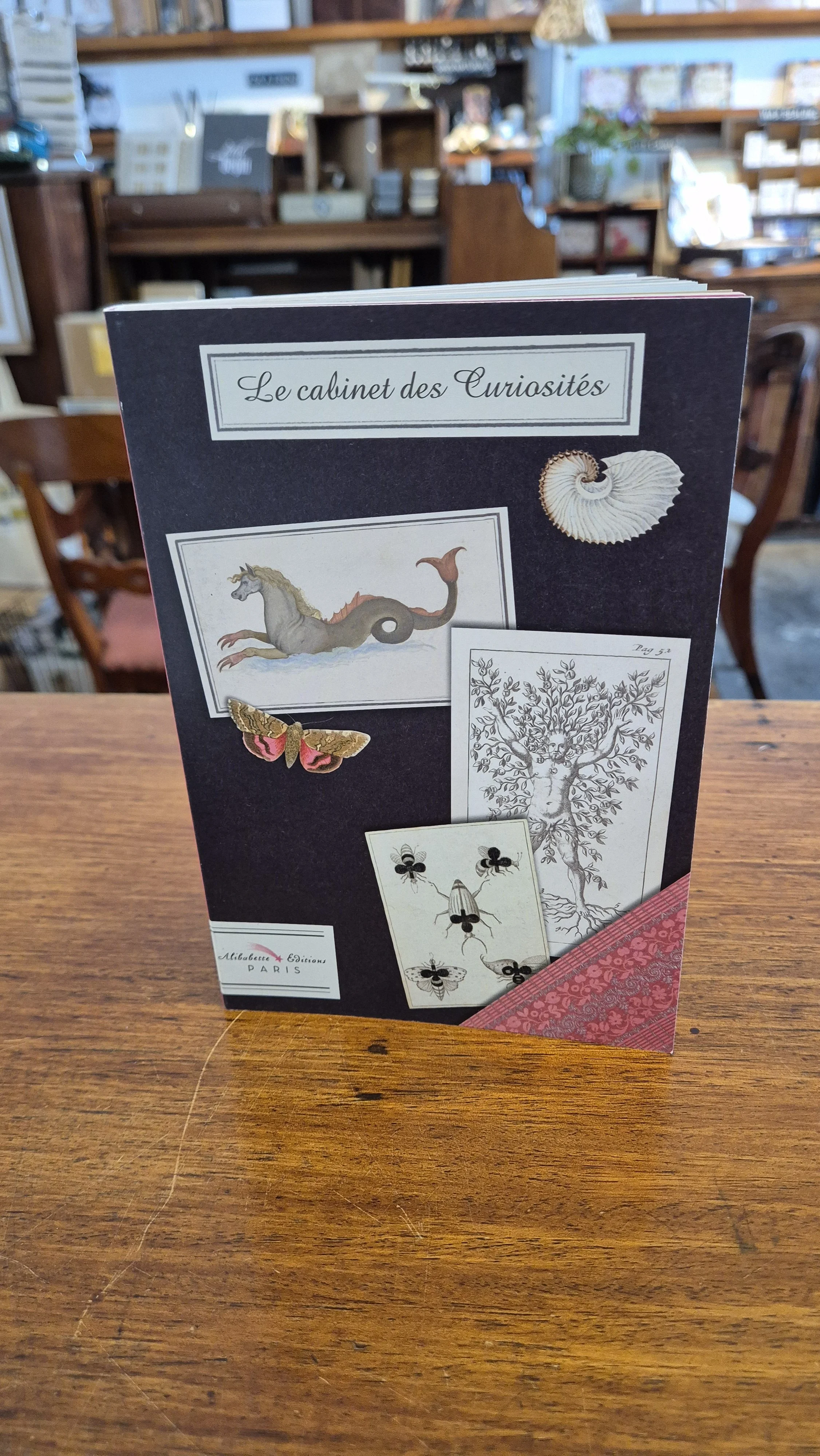 Le Cabinet Des Curiosites - Illustrated Journal