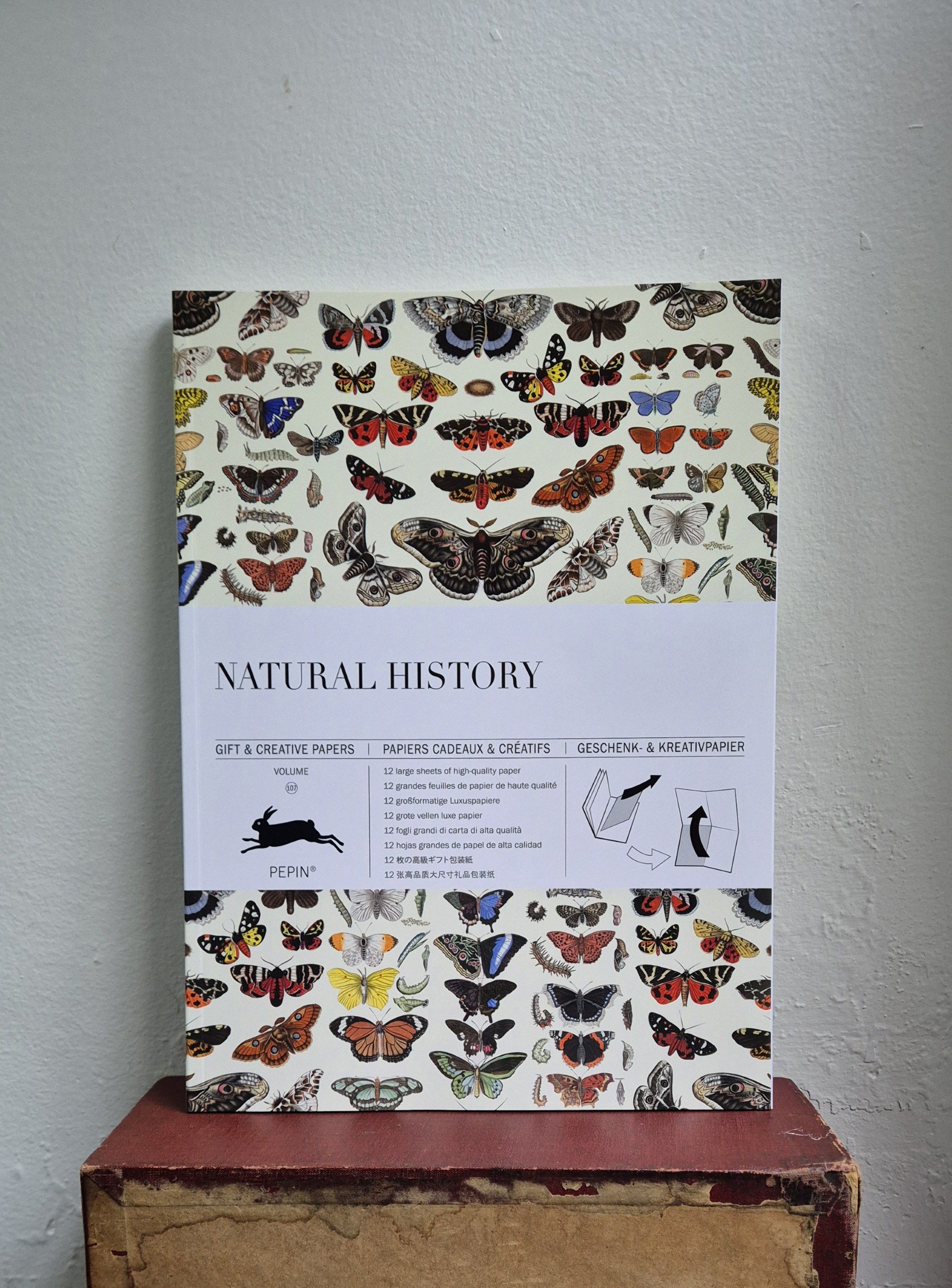 Gift & Creative Papers Natural History