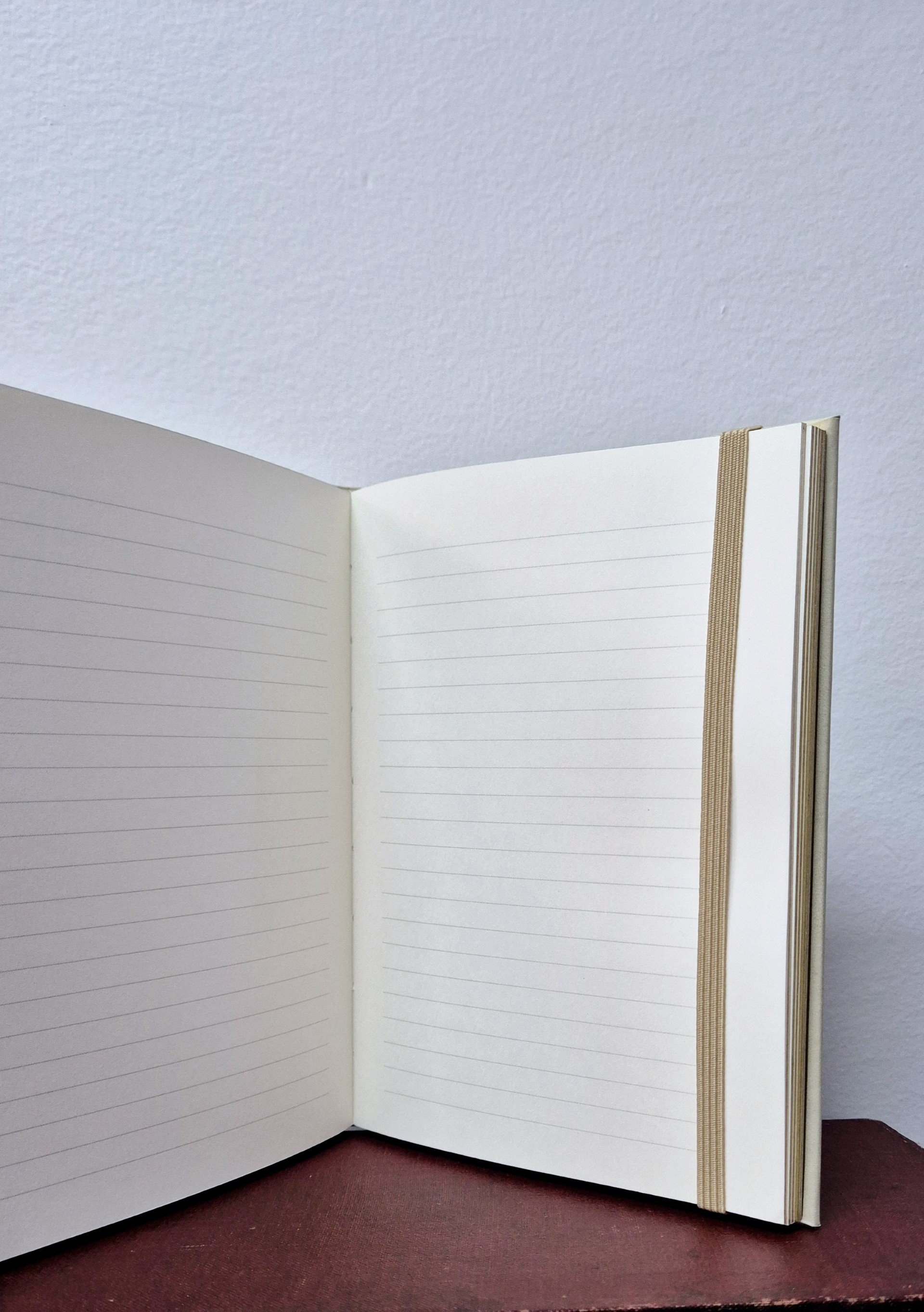 Gilded Ivory Journal.jpg