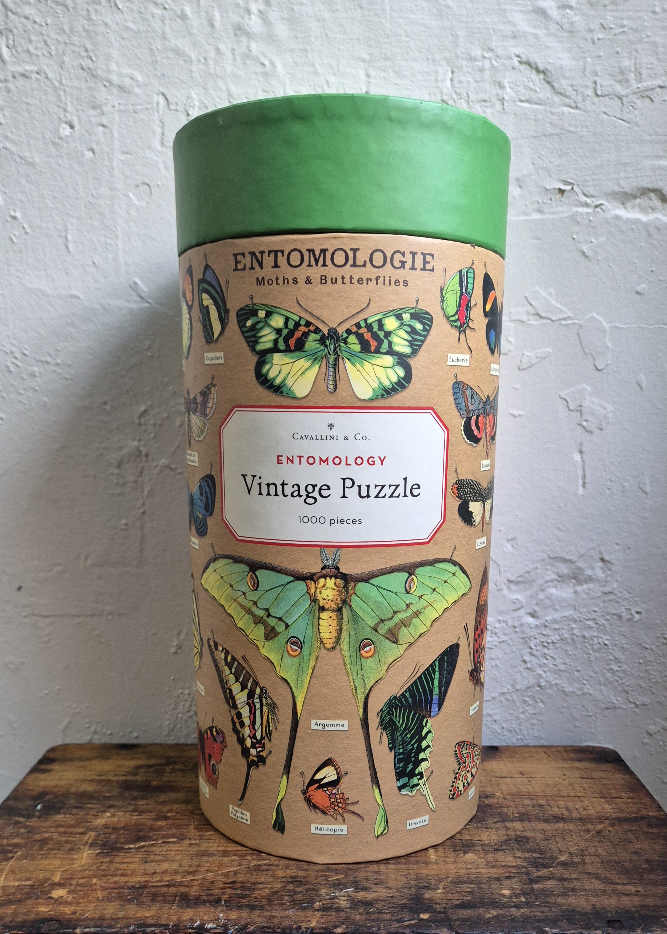 Entomology.jpg