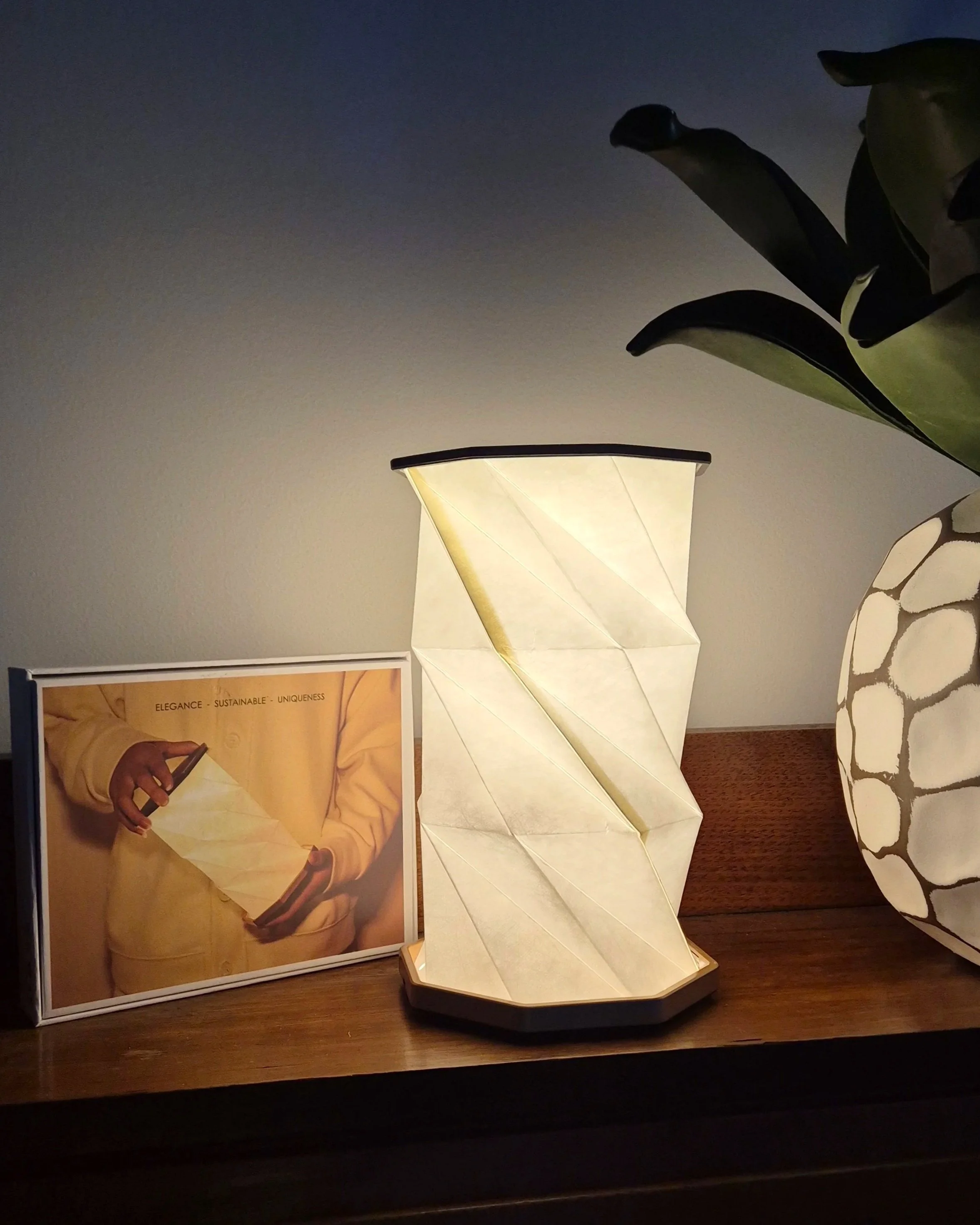 20251120_201215.jpg