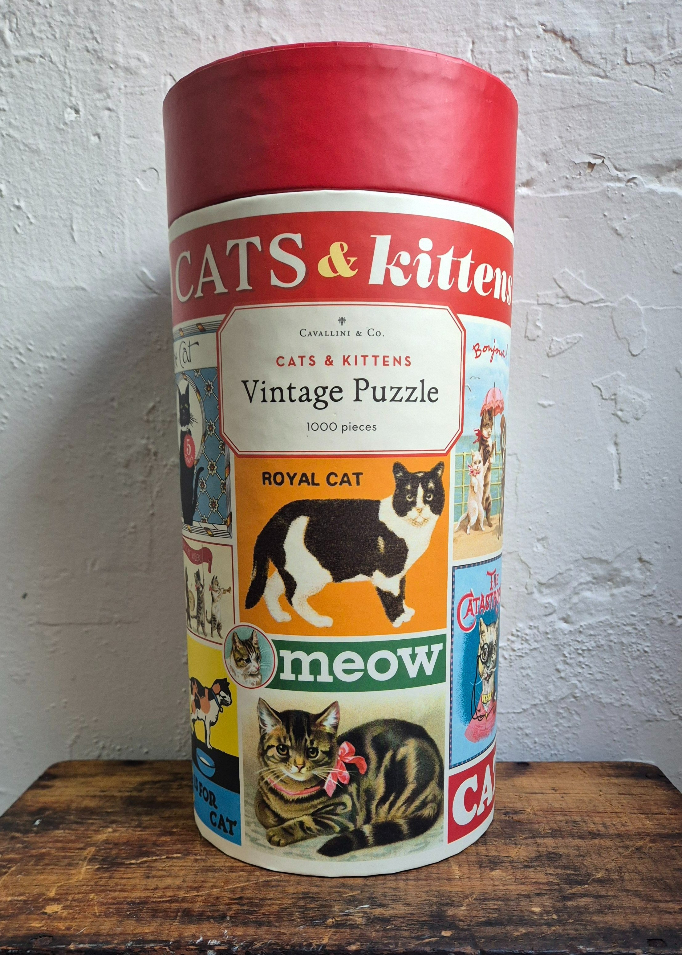 Cats+and+Kittens+one.jpg