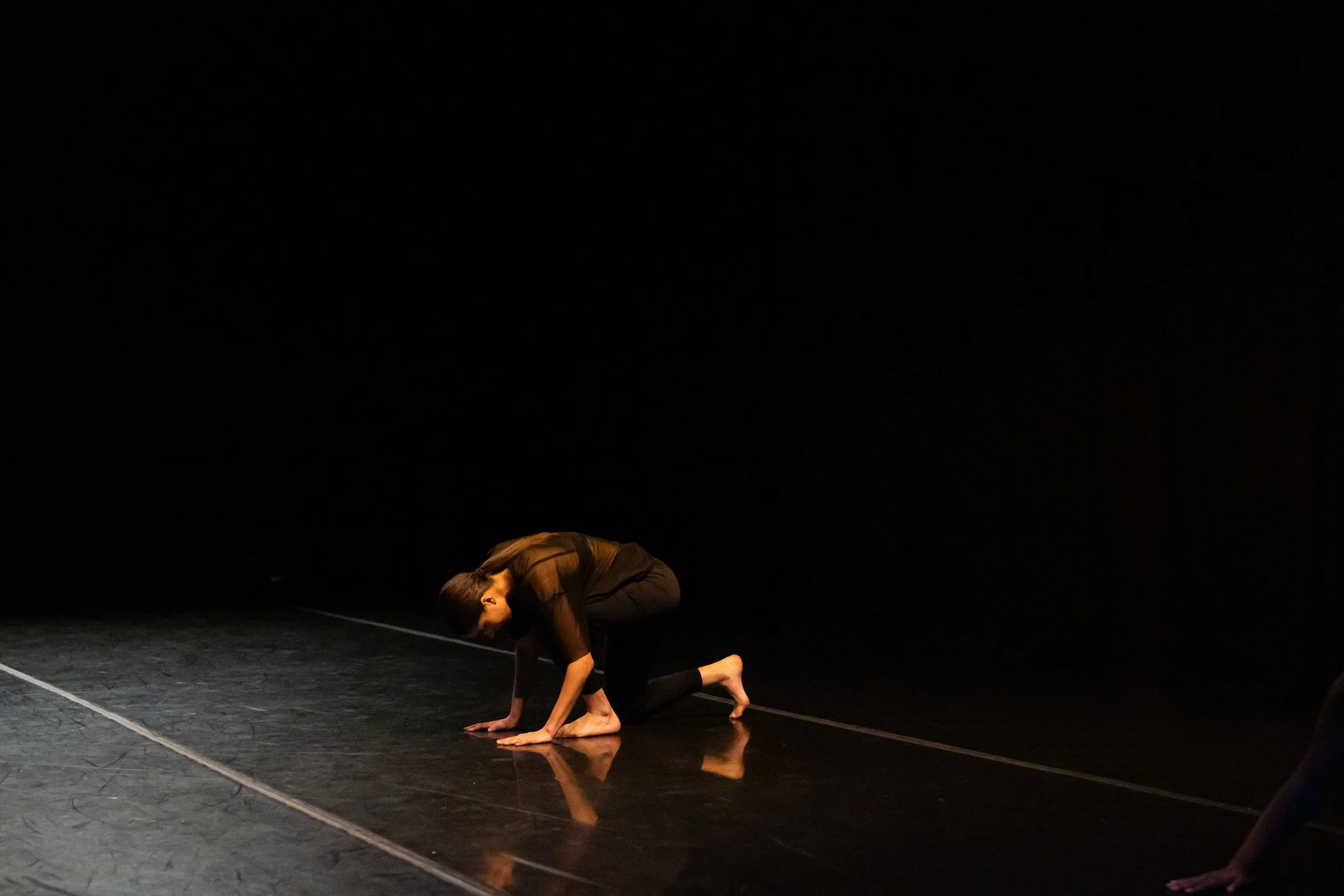 Transgress- choreographed by Artis at the Koresh Dance Company Showcase. Photography: SEB Photography