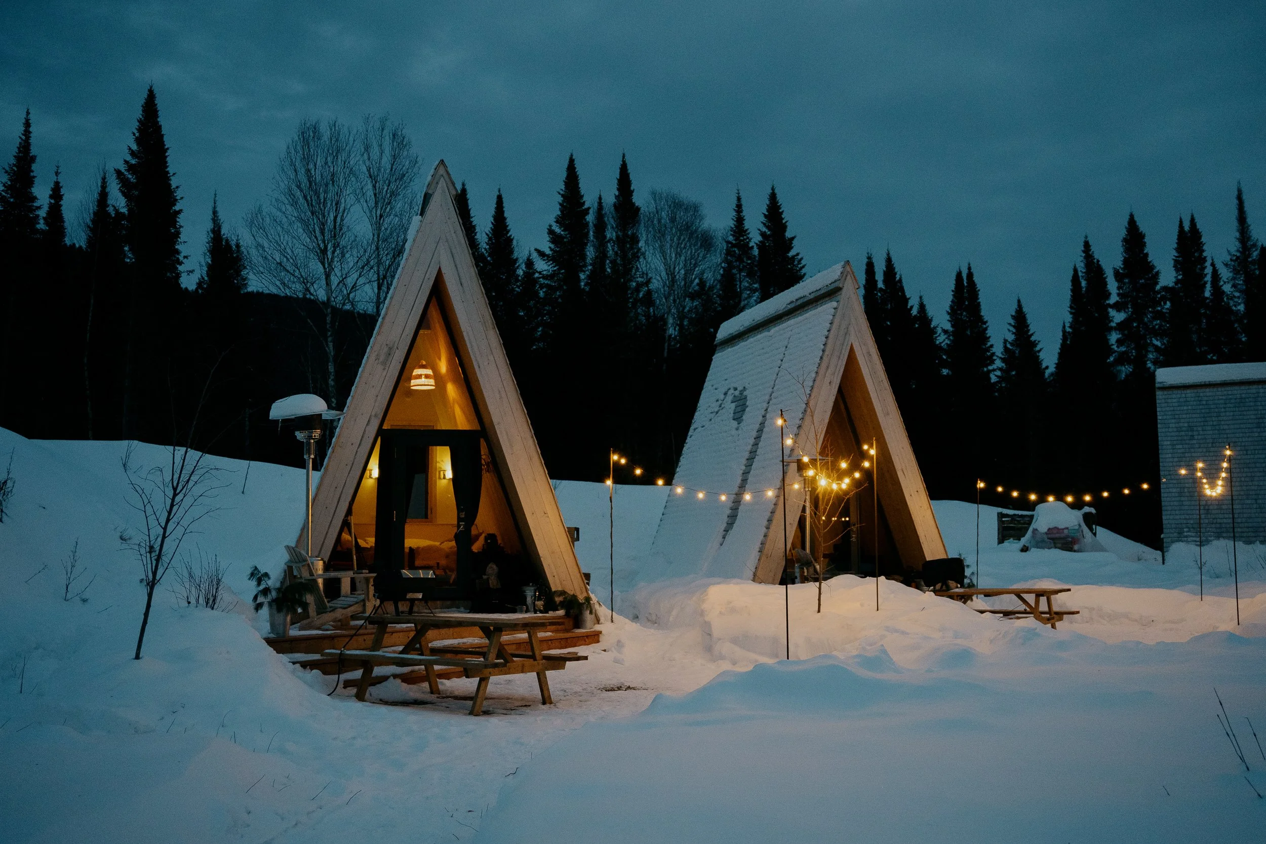 Credit @Kamvachon_04766.JPG