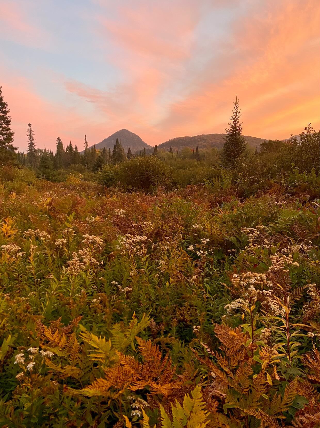 ouverture des locations Studio de la Ferme