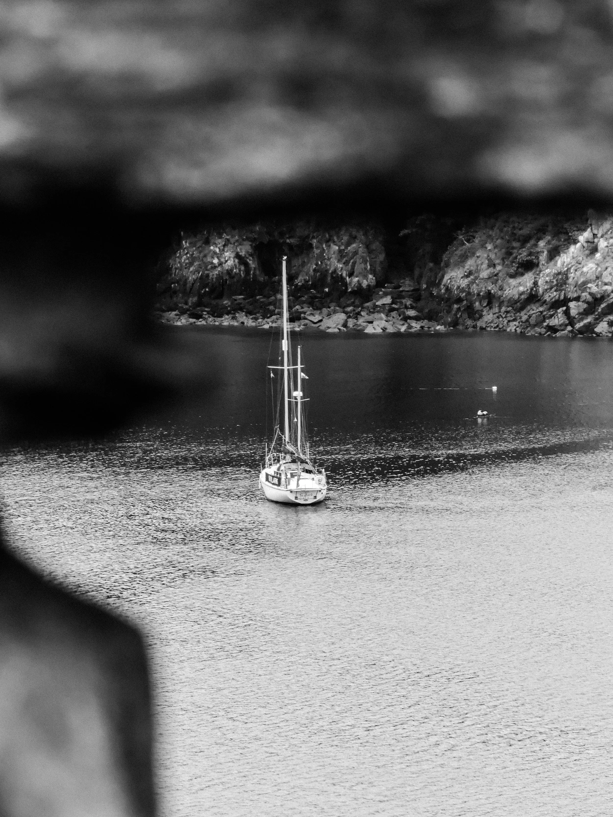 _1260427.jpg