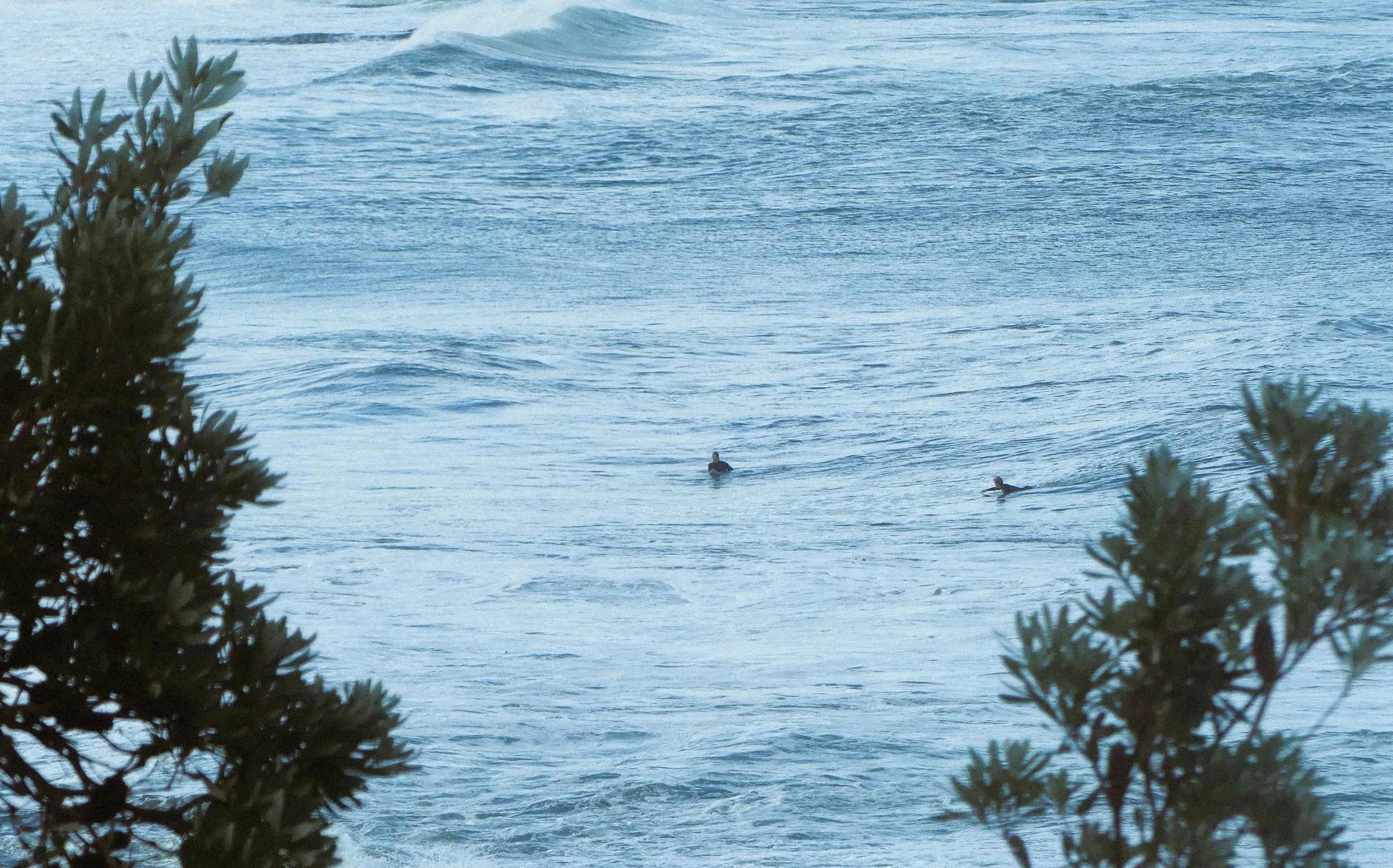 Two surfers waiting for a wave at North beach, Wollongong