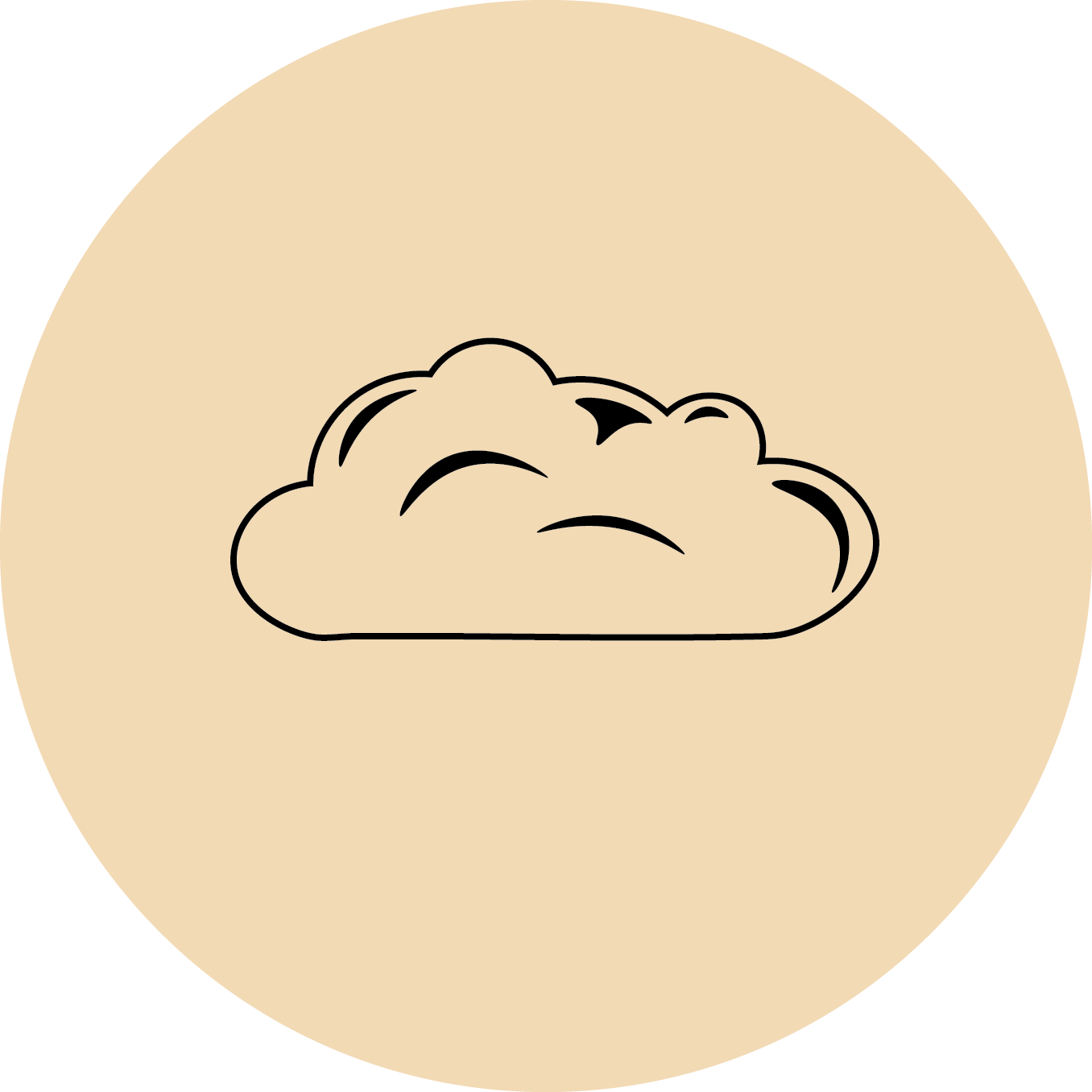 Asset 5.png