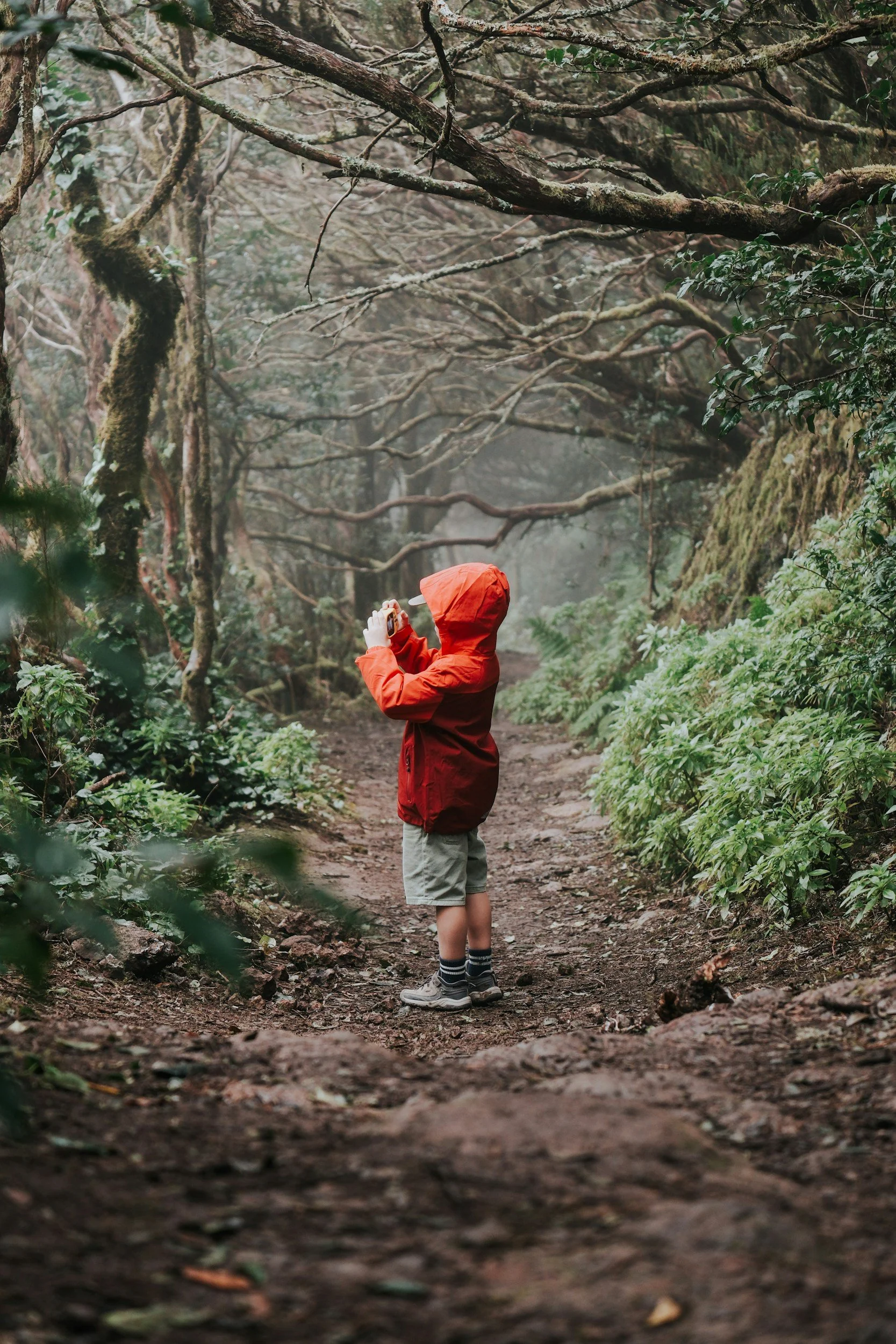 Hike