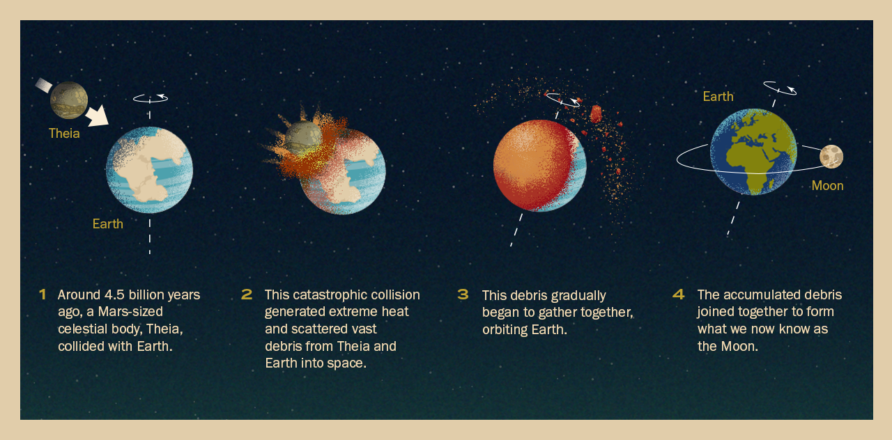 Creative Direction: Roxanne Gomez 
 |   Designer/Illustrator: Maiam Abengaña