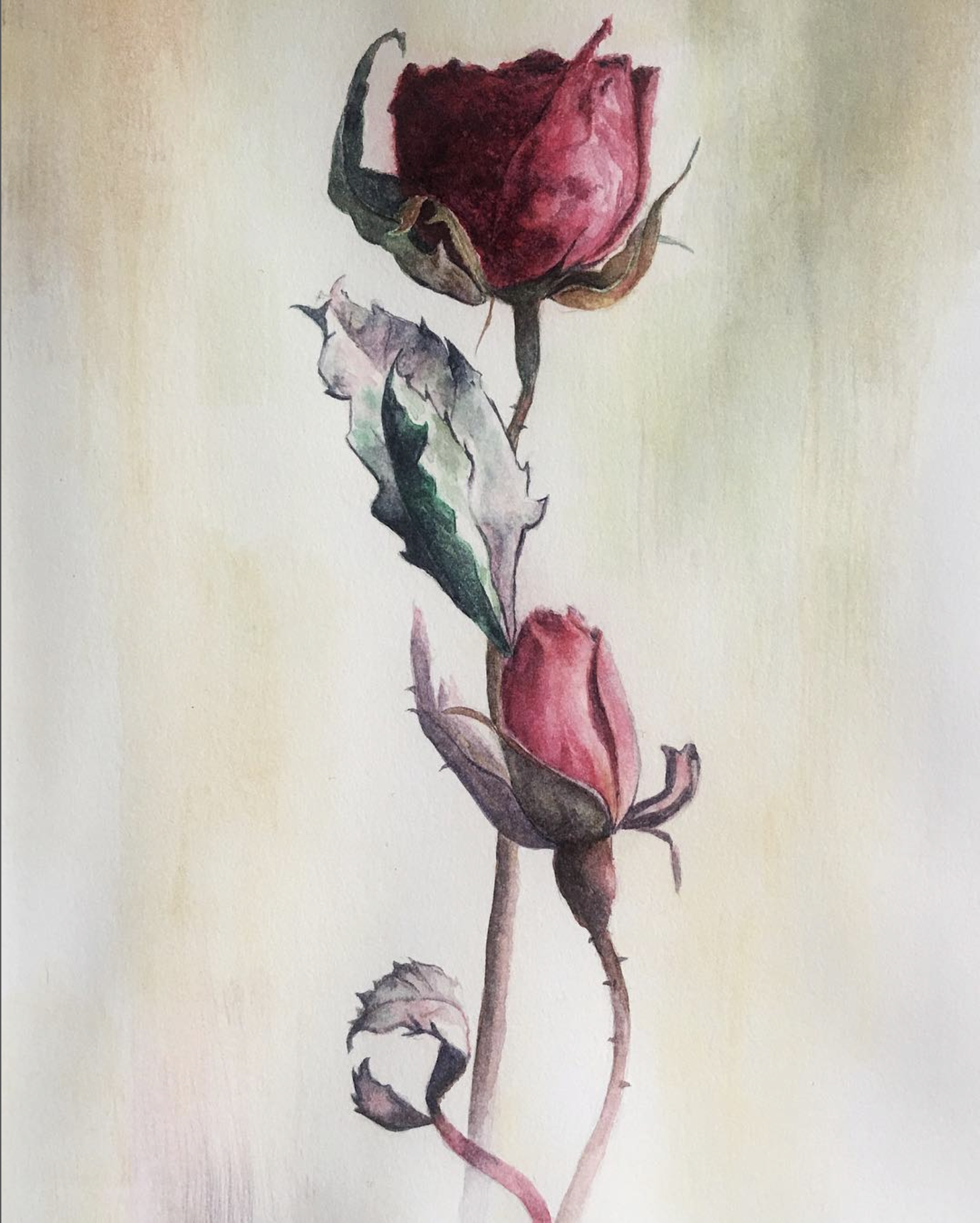 Screenshot 2025-04-18 at 5.53.38 PM.png