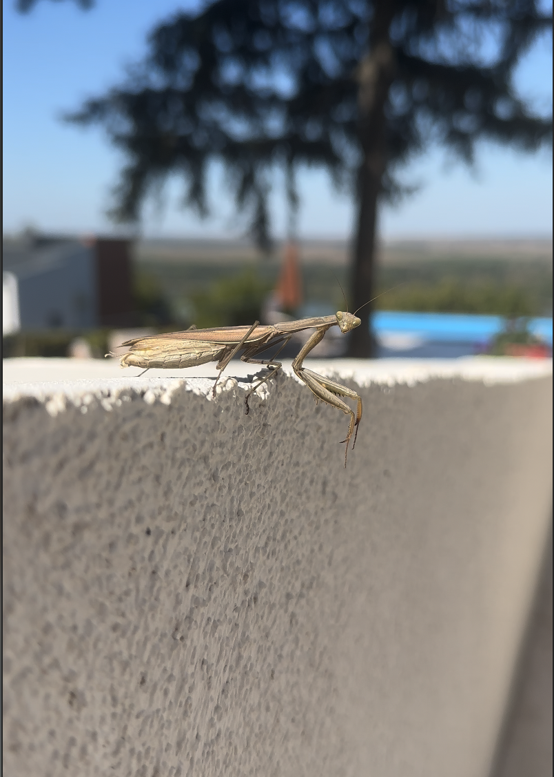 Screenshot 2025-10-21 at 9.25.32 PM.png