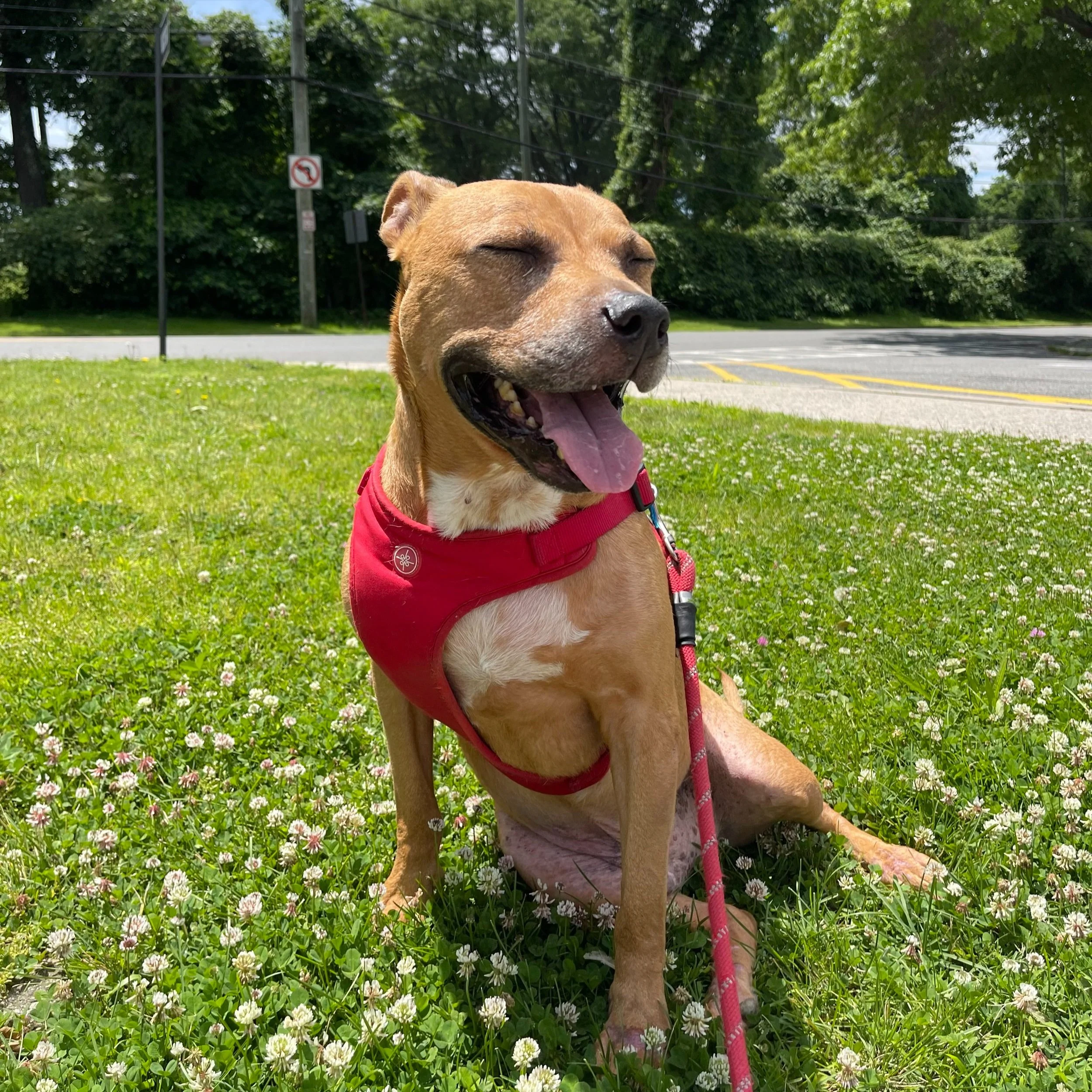 Max