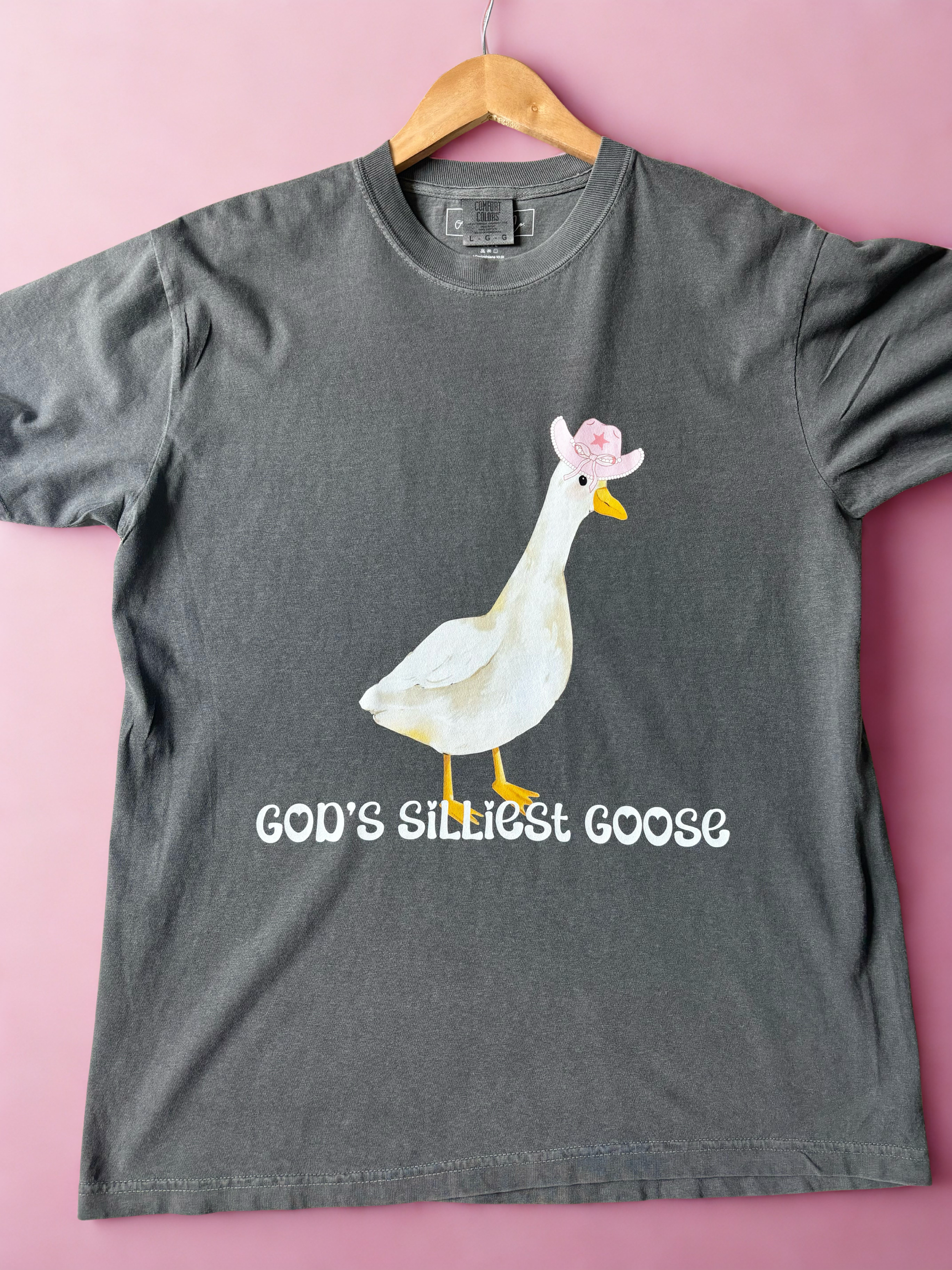 God's Silliest Goose