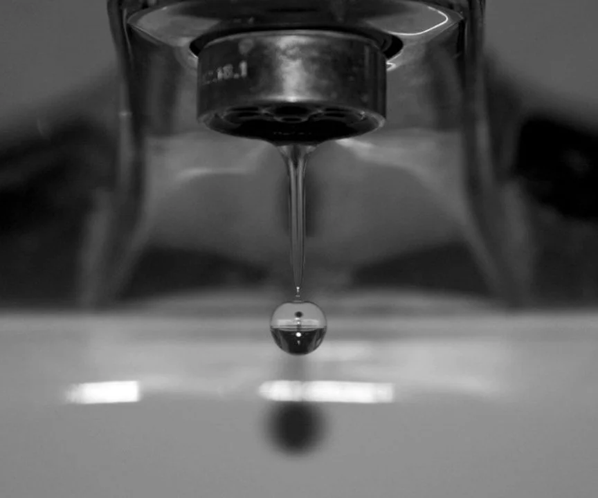 364331_8oJ74aX4XSHzXHa2loi copy.jpg