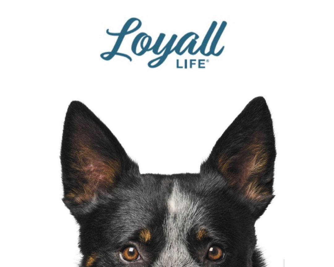 Nutrena Loyall Life Brand Refresh