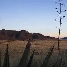 Wine Country - Sonoita, Patagonia, and Parker Canyon Lake