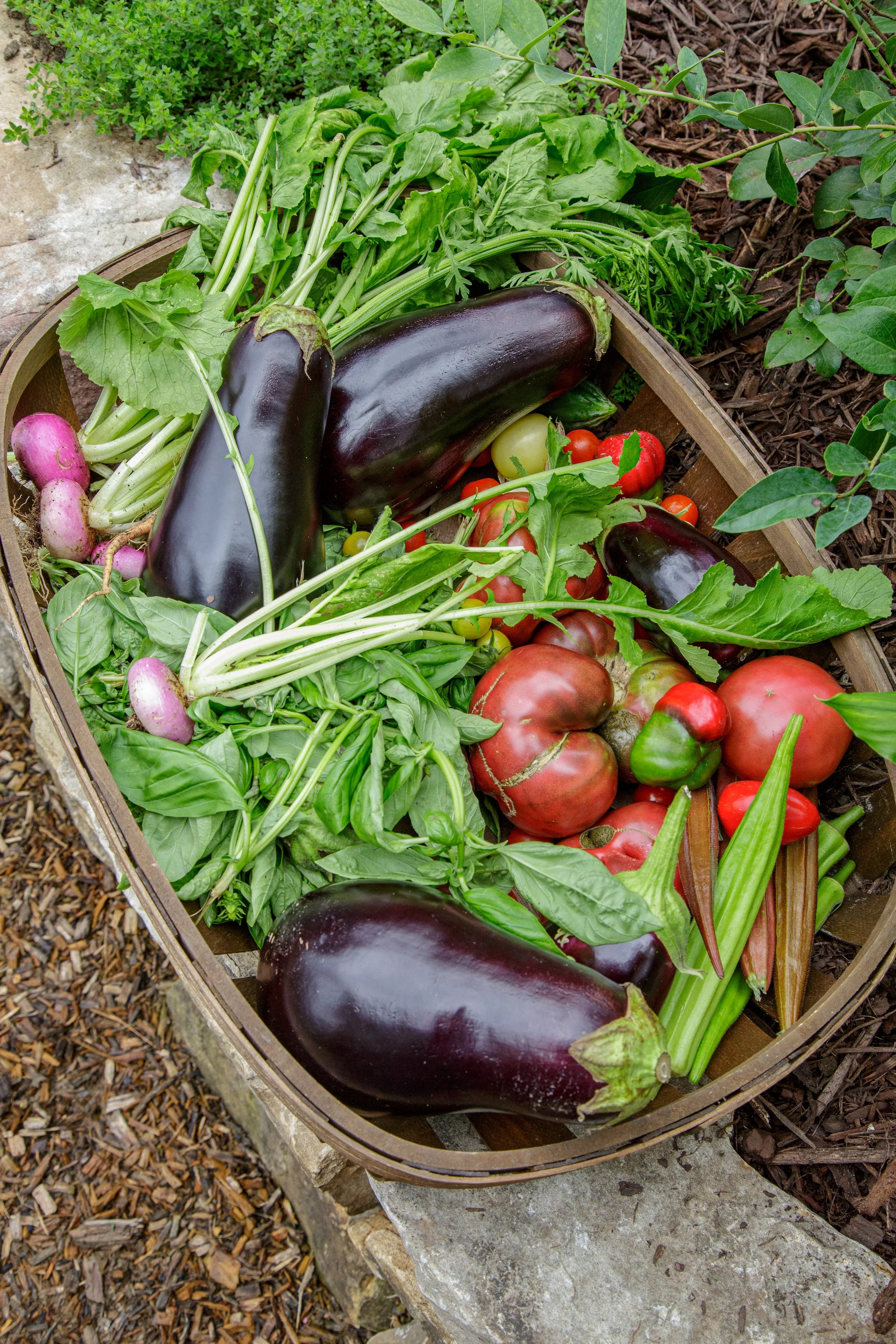 A basket of freshly harvested vegetables including eggplants, tomatoes, radishes, peppers, and leafy greens.