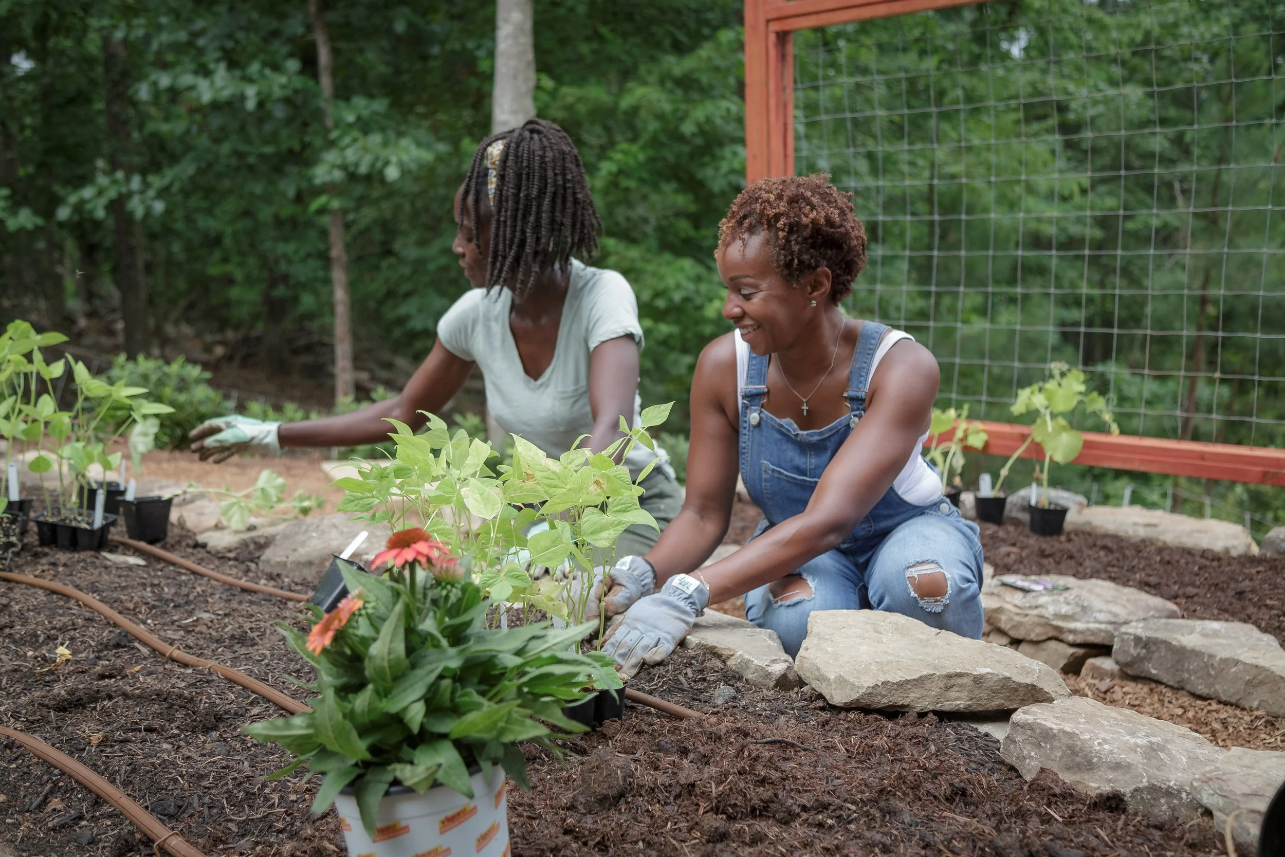 Two women gardening in a backyard garden, planting and tending to plants and flowers.
