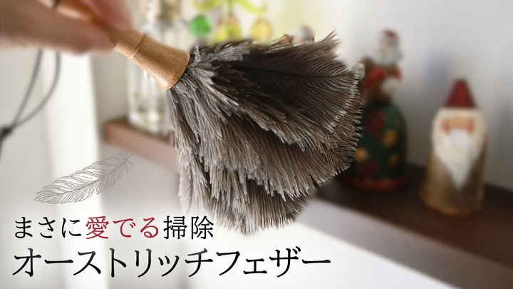 OMOHU2 オーストリッチミニフェザー