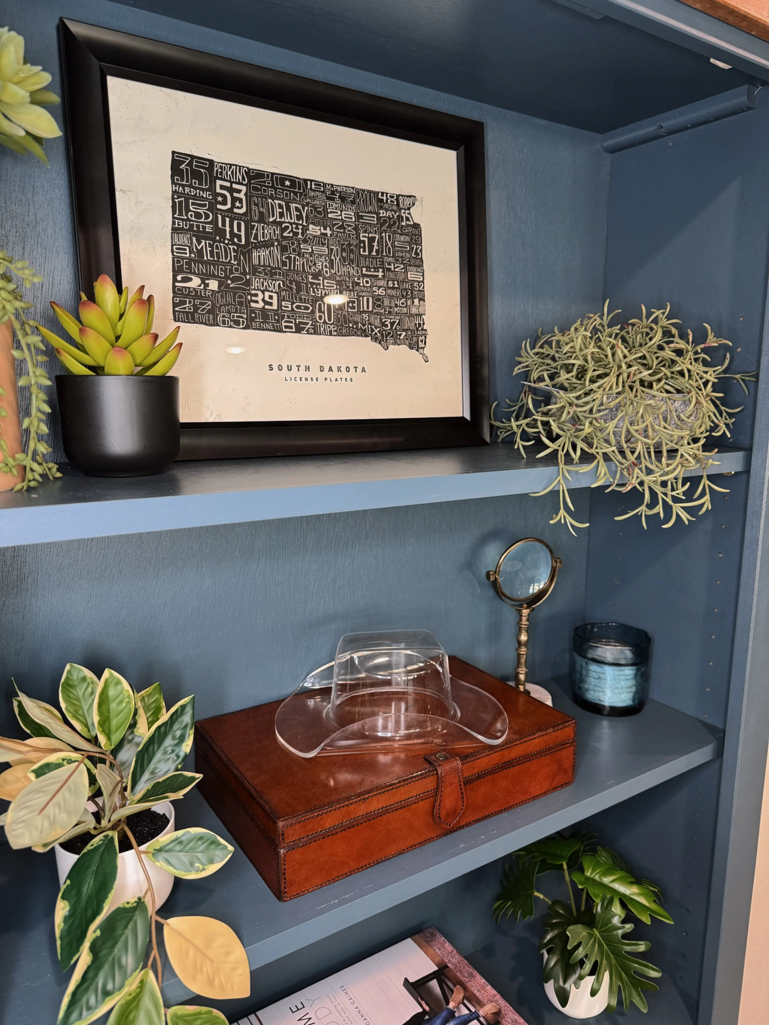 Decorative shelf with framed South Dakota license plate map, potted plants, glass cloche on leather box, small mirror, and candle.
