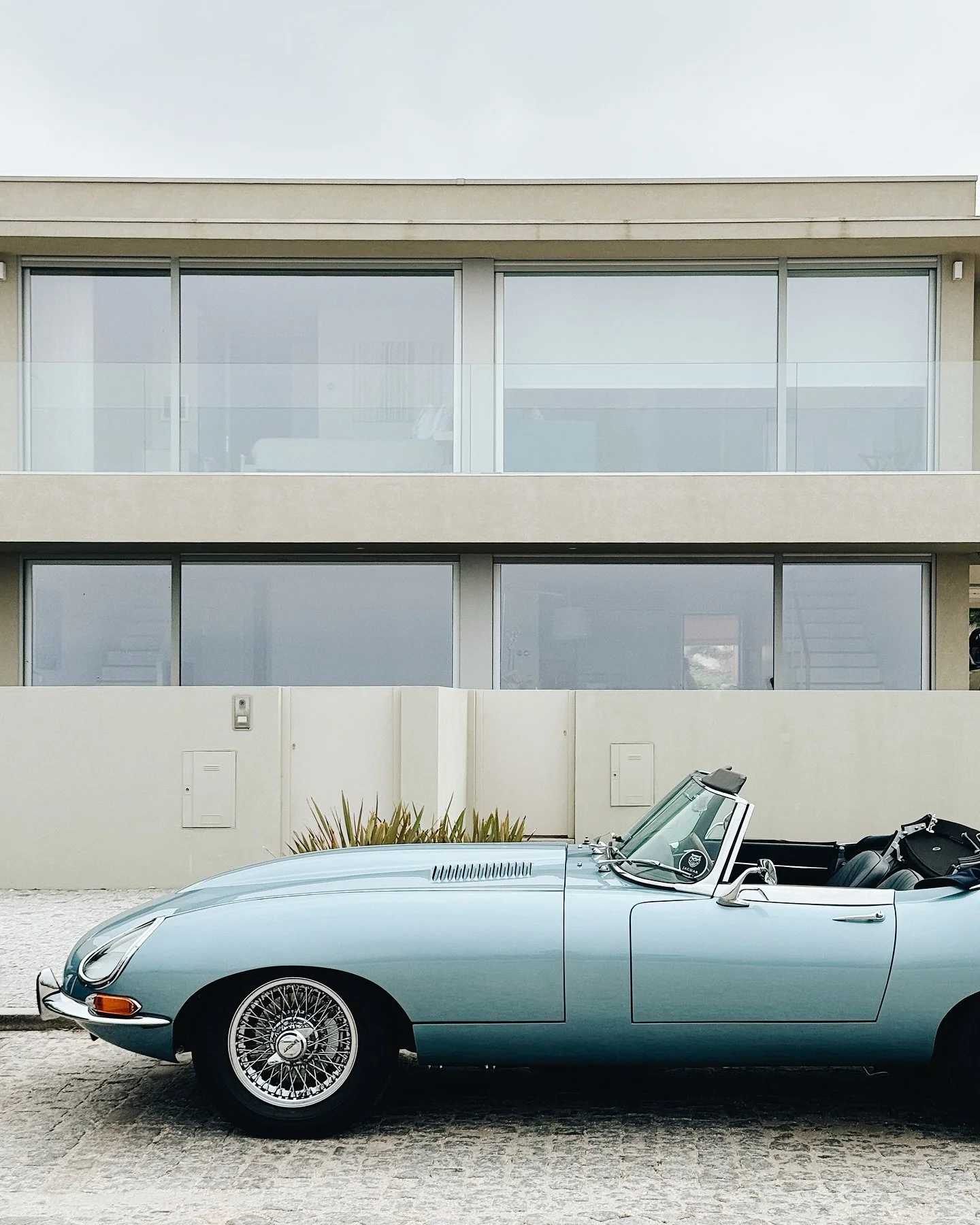 Figs, sneak attacking random gentleman, sunsets and vintage cars. 😎