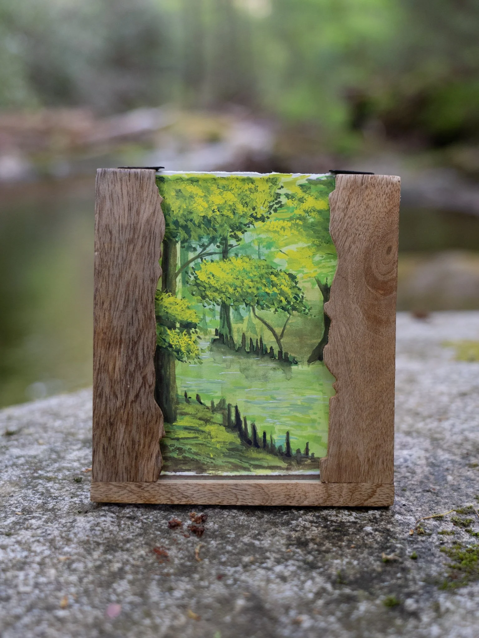 PREORDER Congaree National Park PRINT