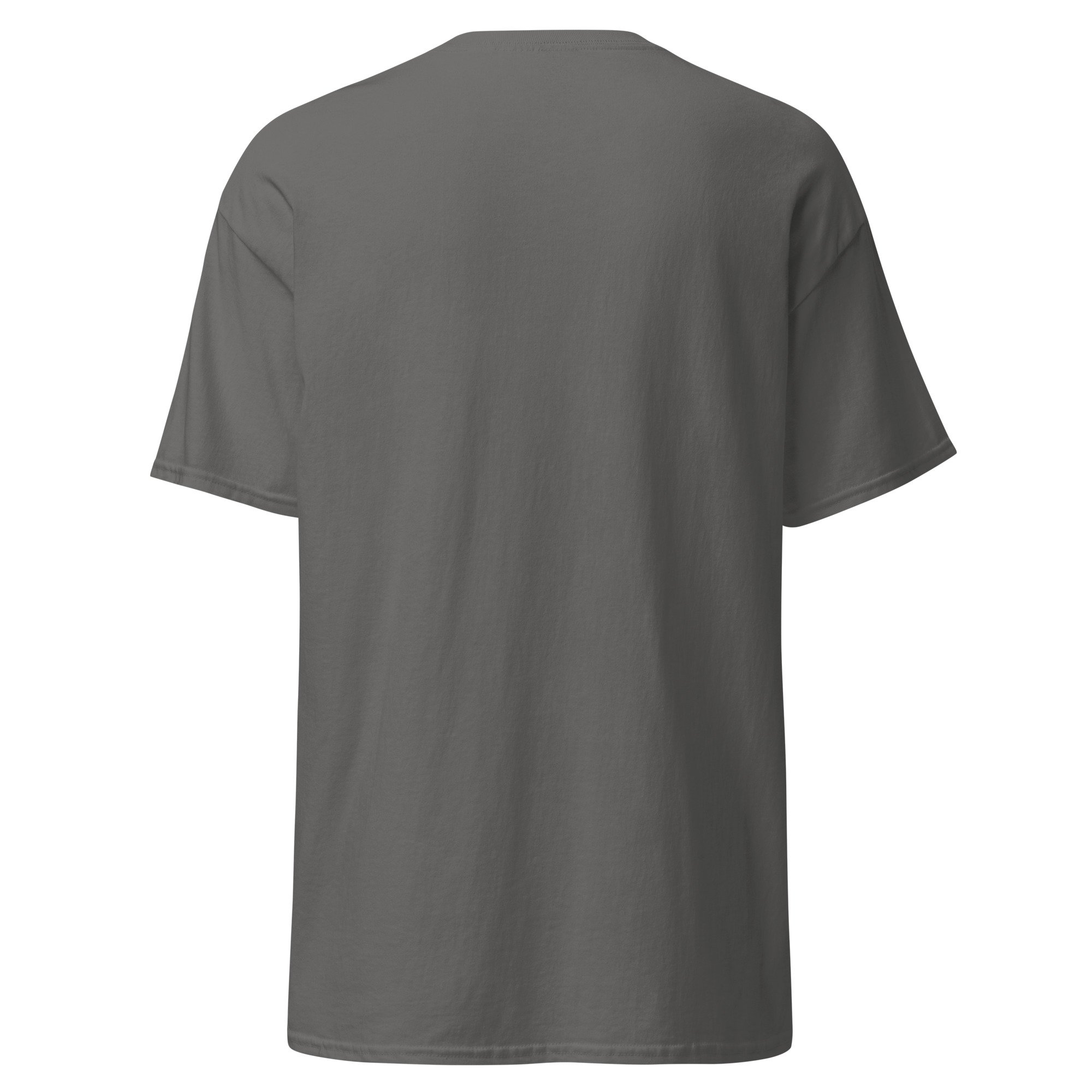 unisex-classic-tee-charcoal-back-6866b309466c0.jpg
