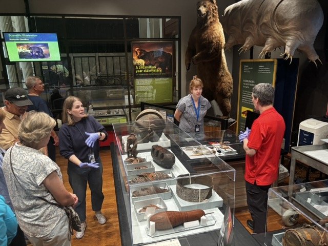 SCIENCE HUB - FIELD MUSEUM 