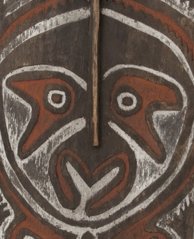 Talk - Meet a Scientist - Field Museum