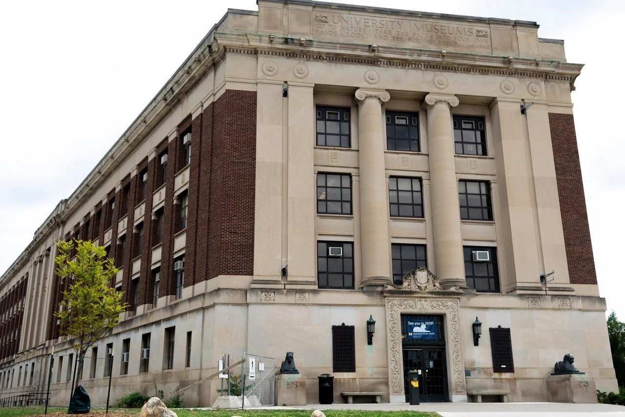 Exterior of the University Museum building, a large historic structure with decorative columns and lion statues at the entrance.