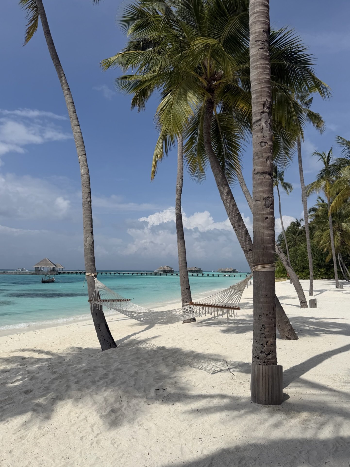 Our Honeymoon in the Maldives