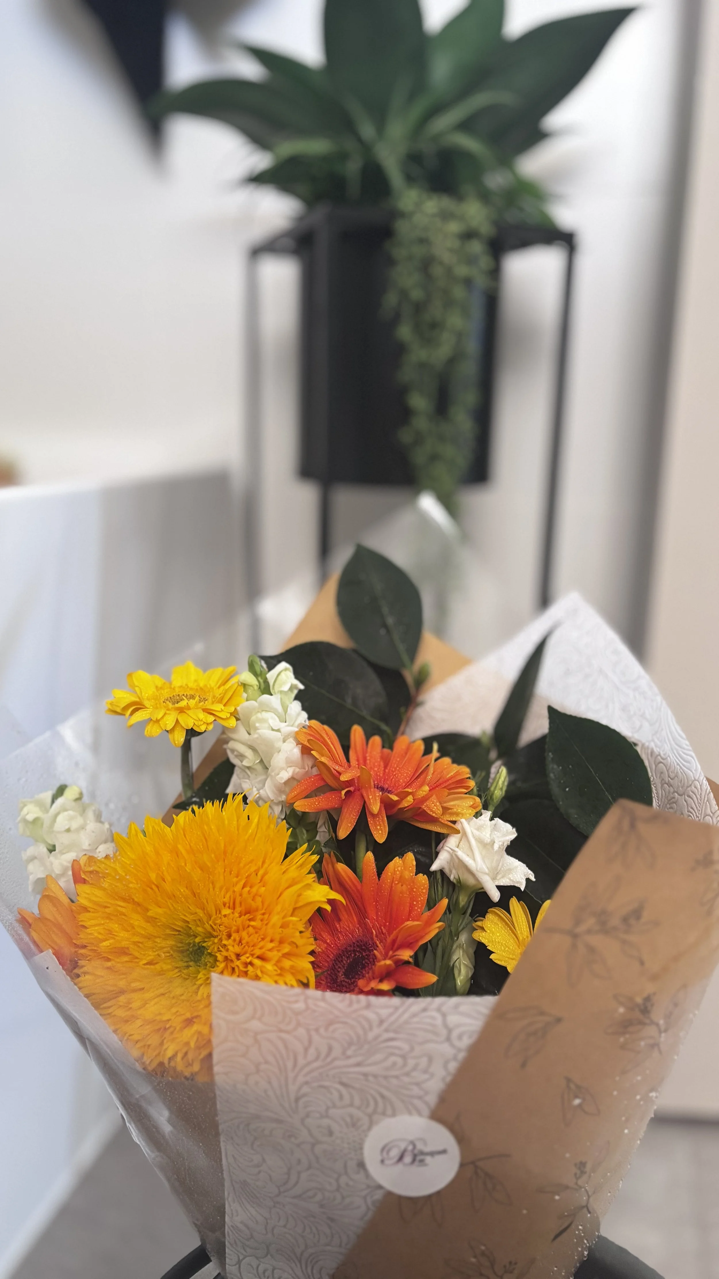 PAWS & PETALS 🐶🐱