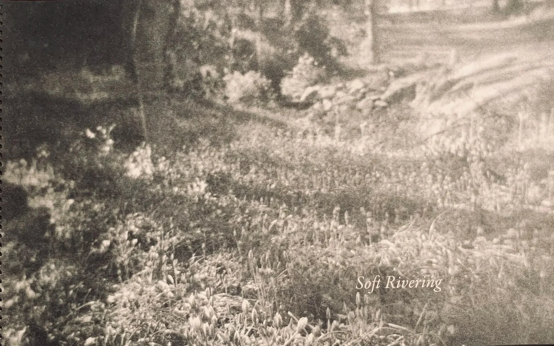 Soft Rivering - Risograph Photobook