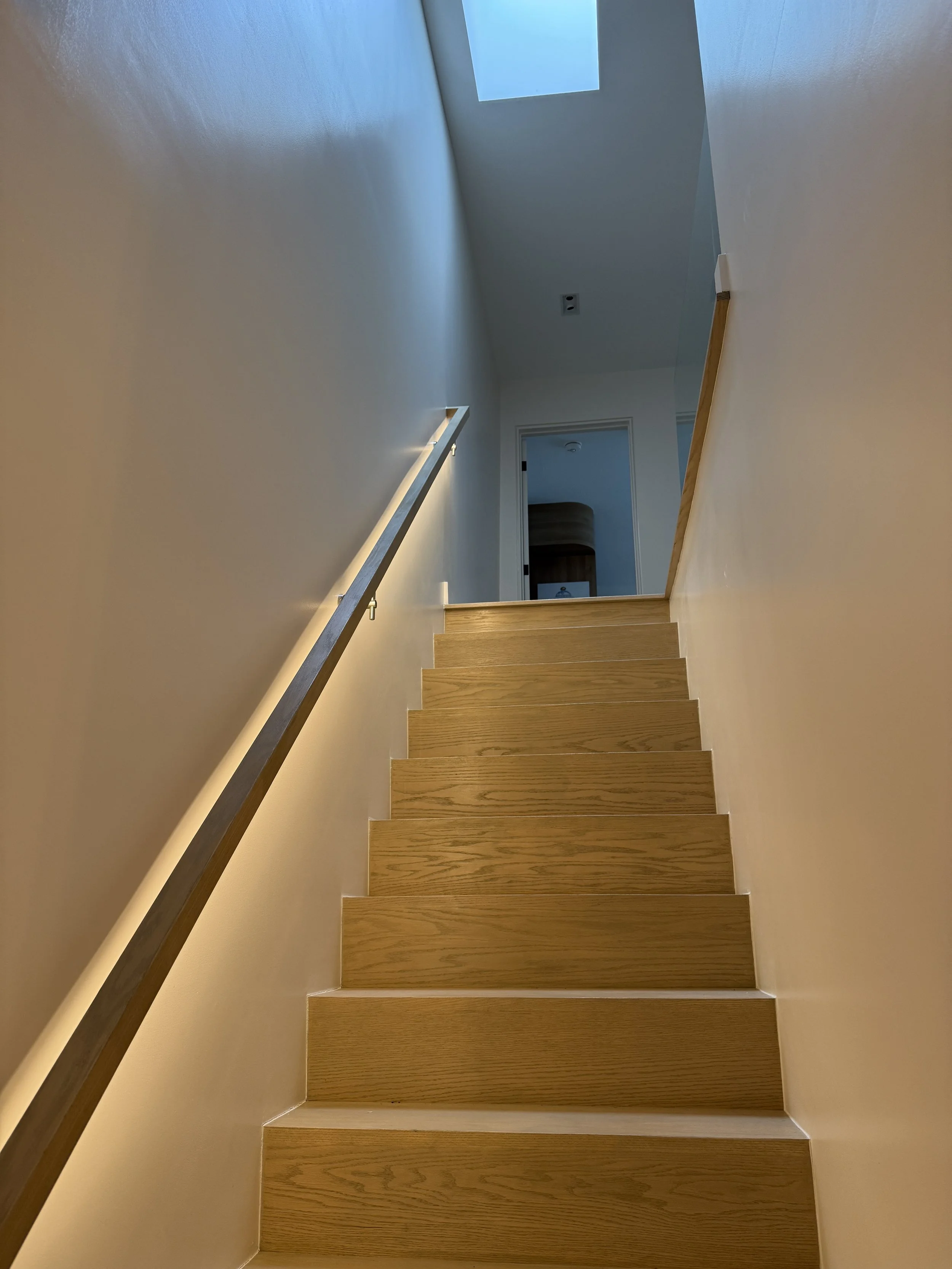 Lighted handrail