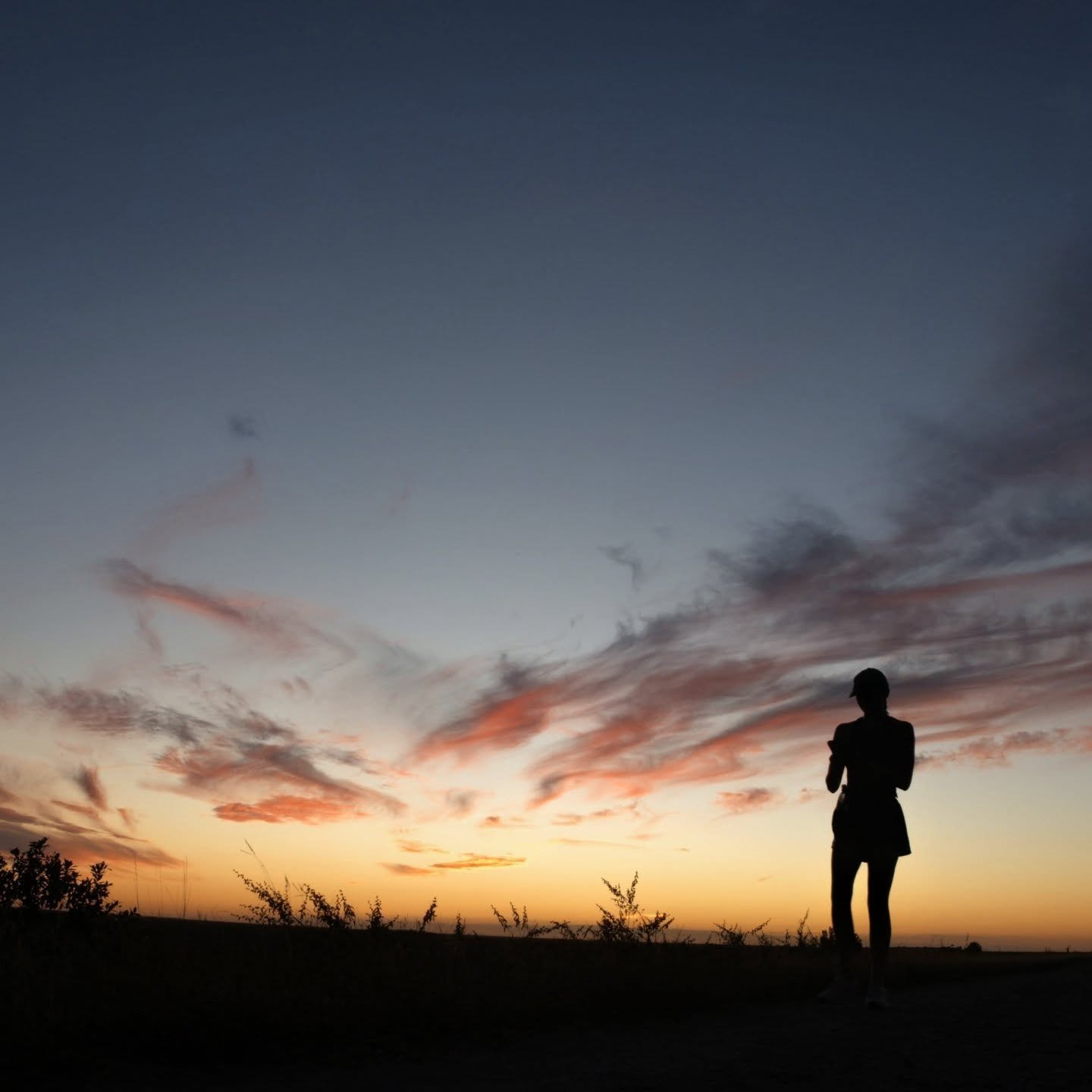 #noediting #sunsetvibes #sillouette #swamp