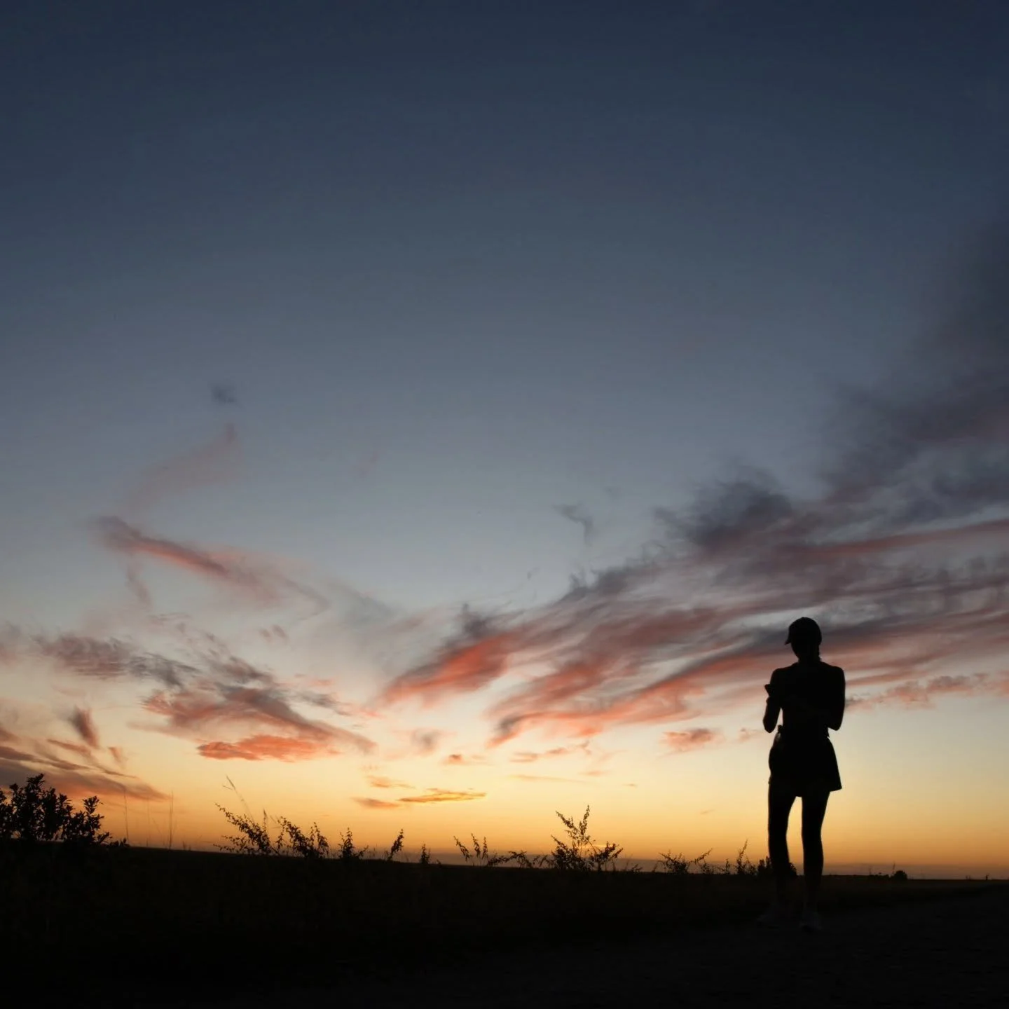 #noediting #sunsetvibes #sillouette #swamp #photography #fyp #sunrise #sunsetphotography #hollywoodbeach